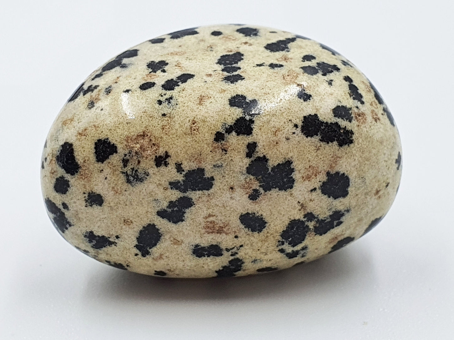 Dalmatian Jasper Tumbles