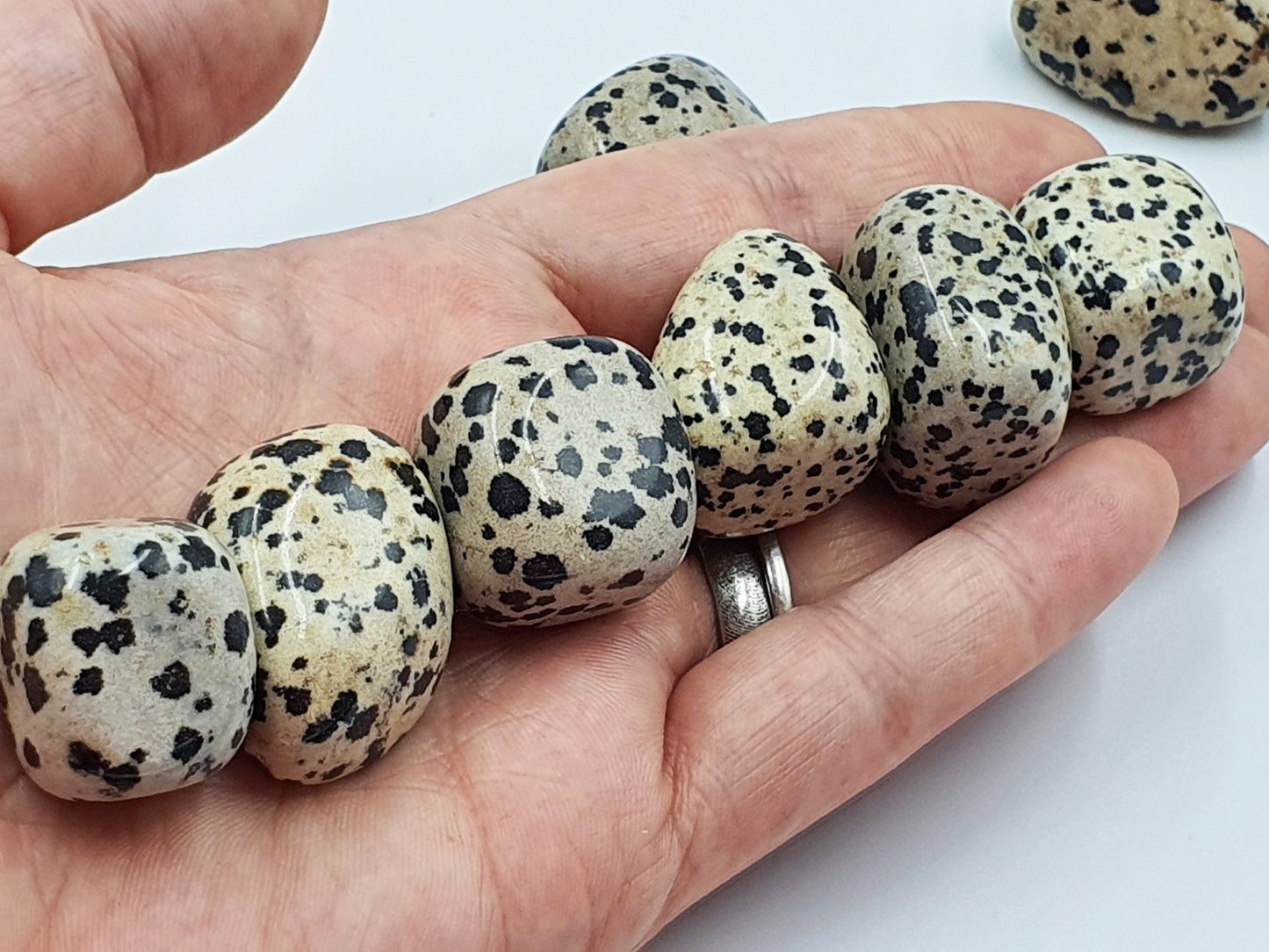 Dalmatian Jasper Tumbles