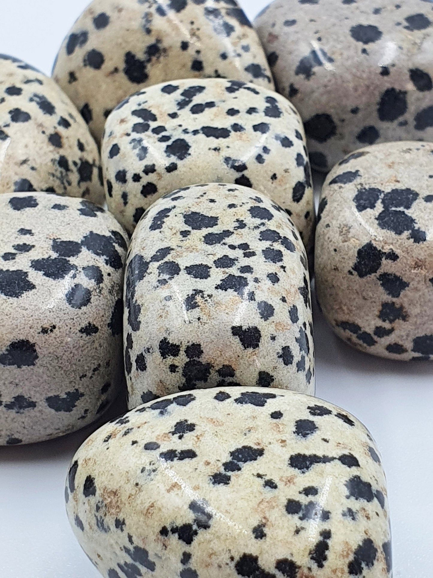 Dalmatian Jasper Tumbles
