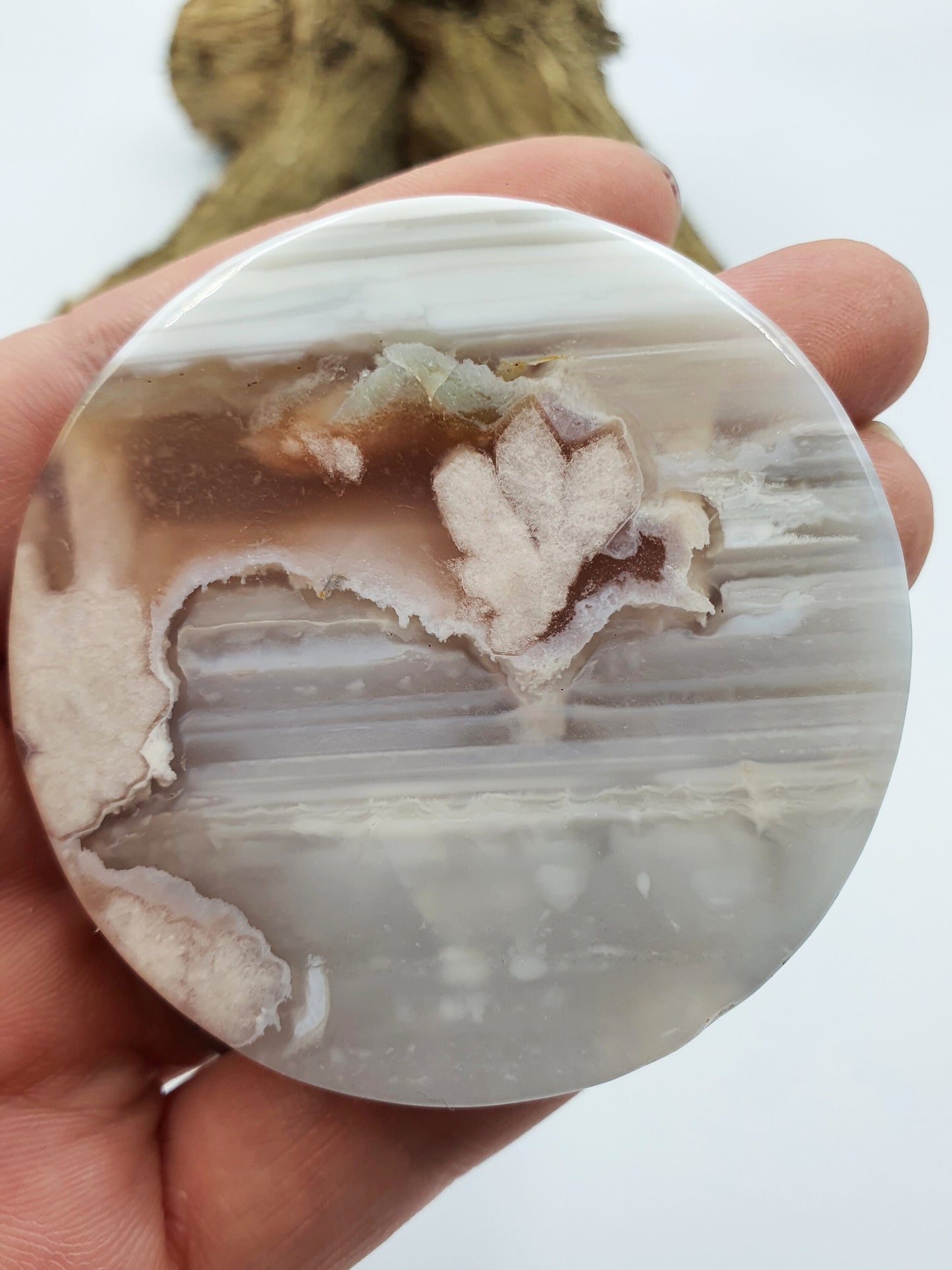 Unique Flower Blossom (Sakura) Slices - Several Available - Approx 5.5 cm