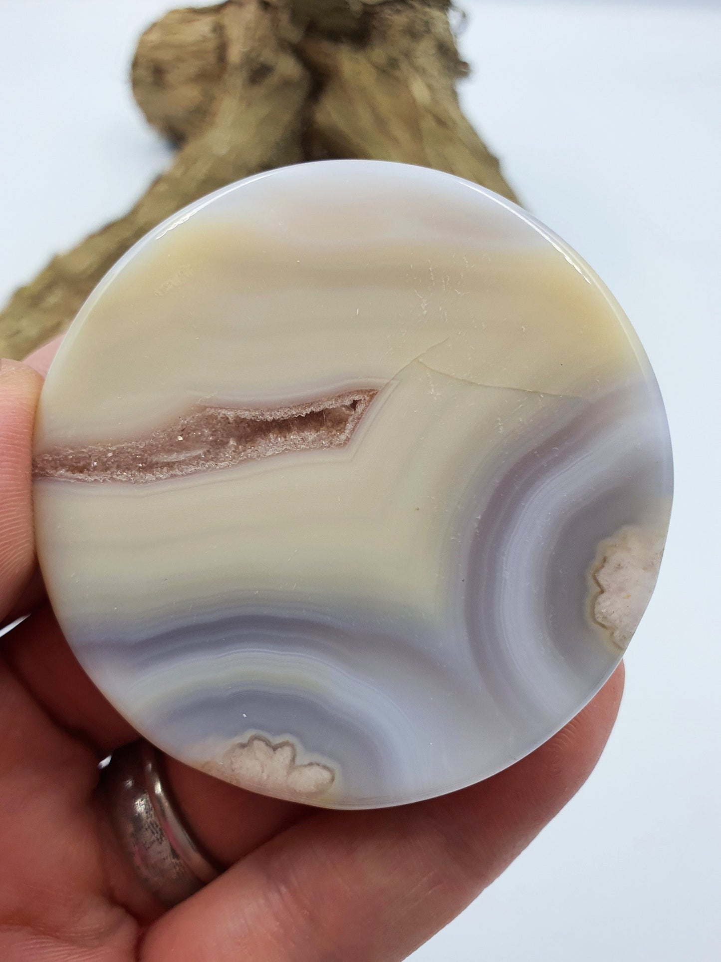 Unique Flower Blossom (Sakura) Slices - Several Available - Approx 5.5 cm