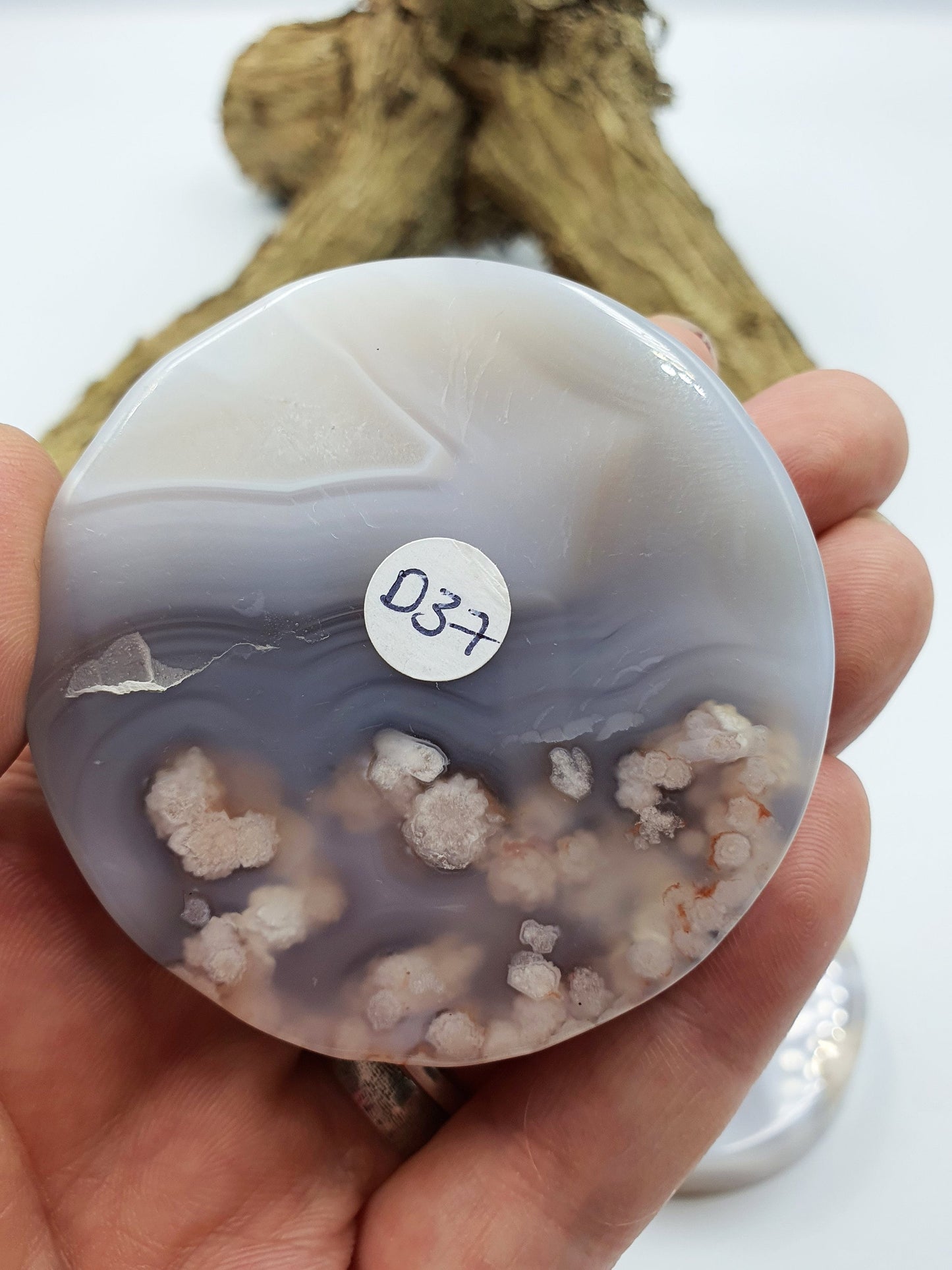 Unique Flower Blossom (Sakura) Slices - Several Available - Approx 5.5 cm