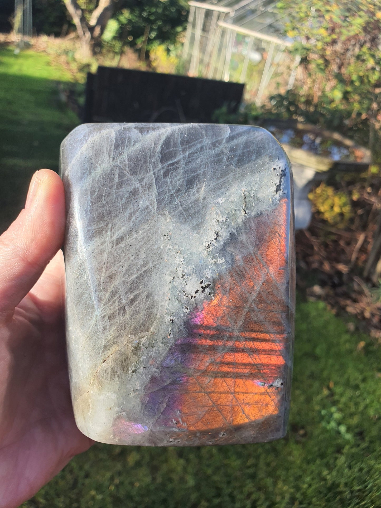 Sunset Labradorite Freeform - 1463g