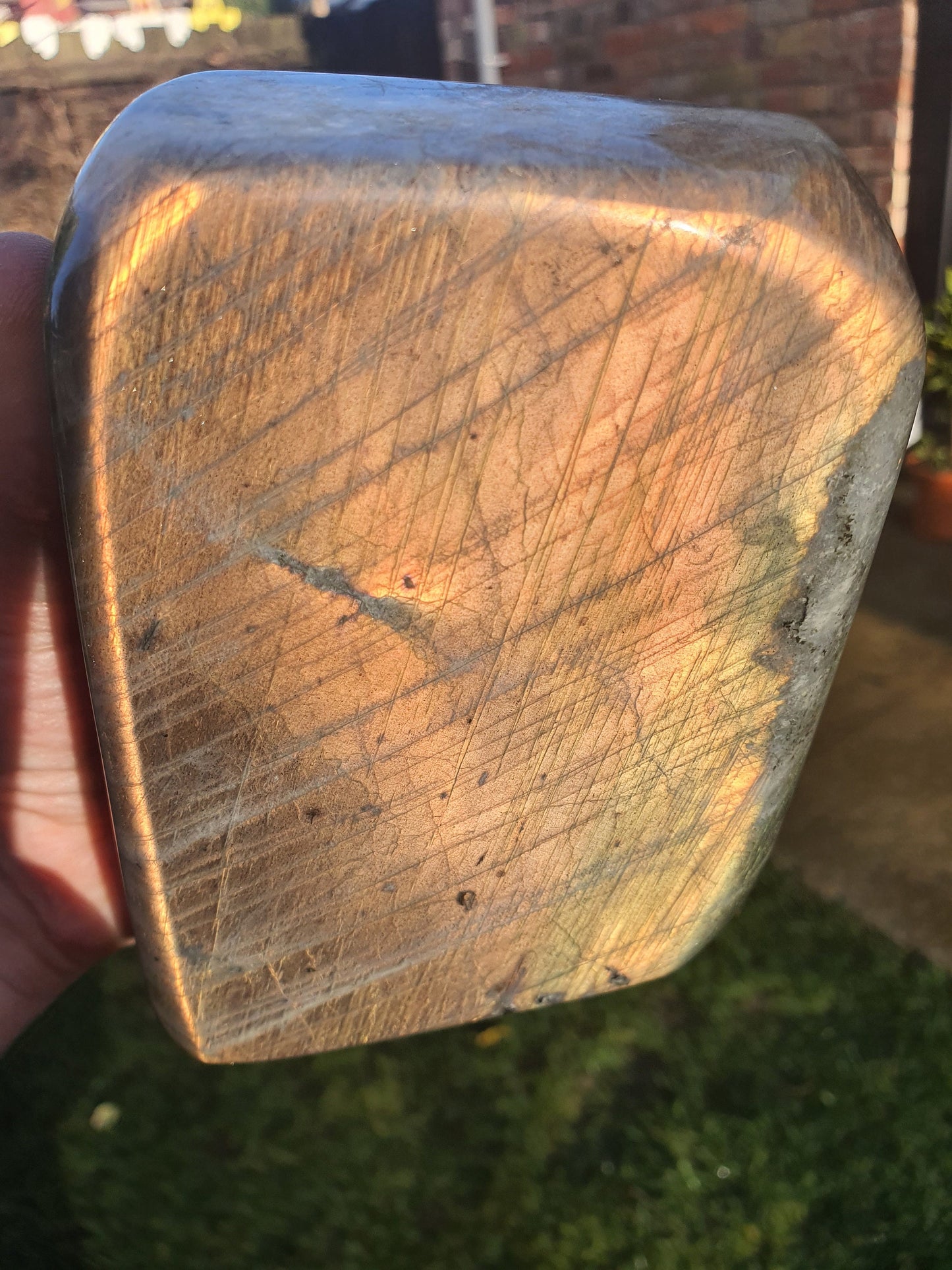 Sunset Labradorite Freeform - 1463g