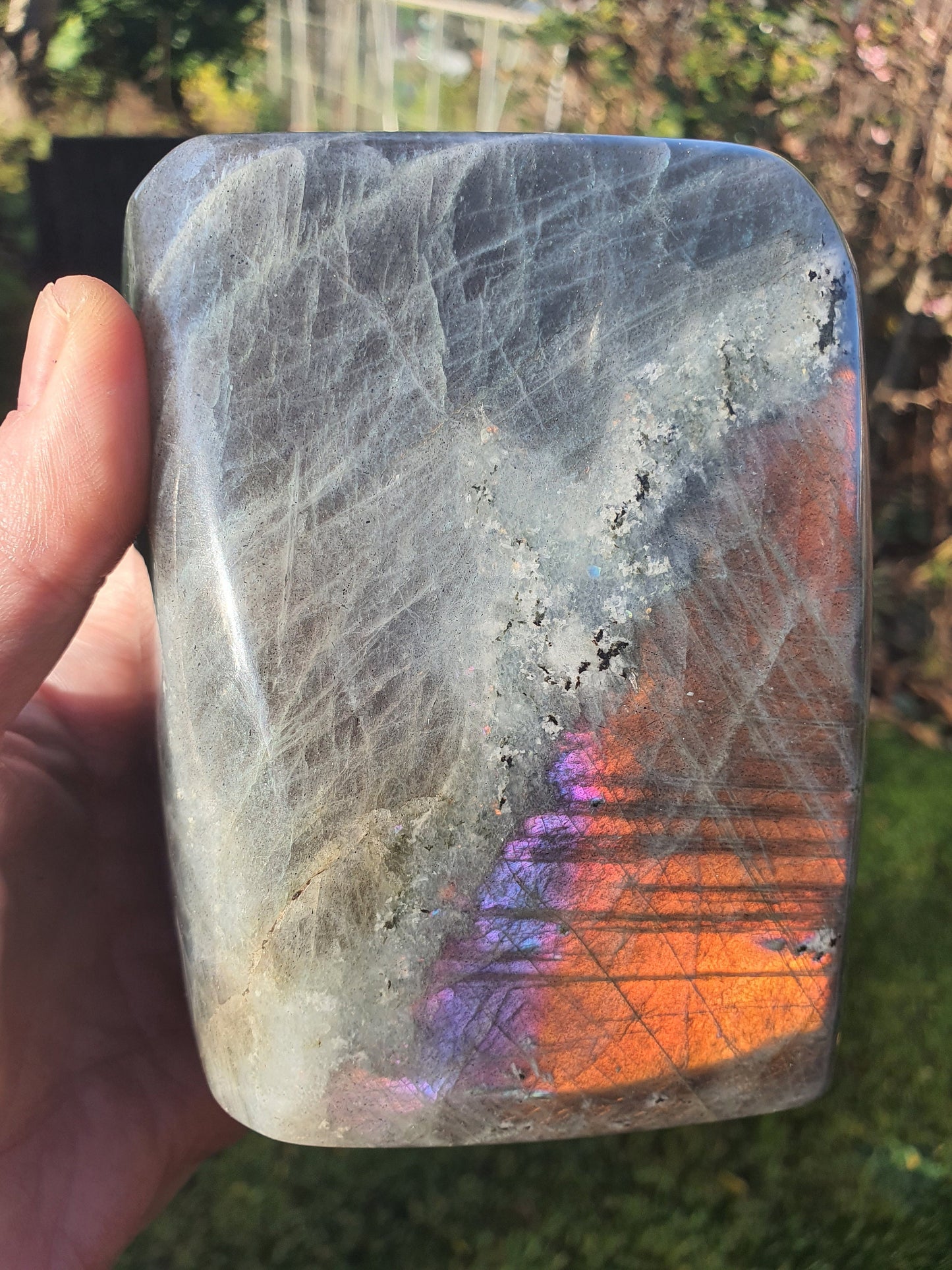 Sunset Labradorite Freeform - 1463g