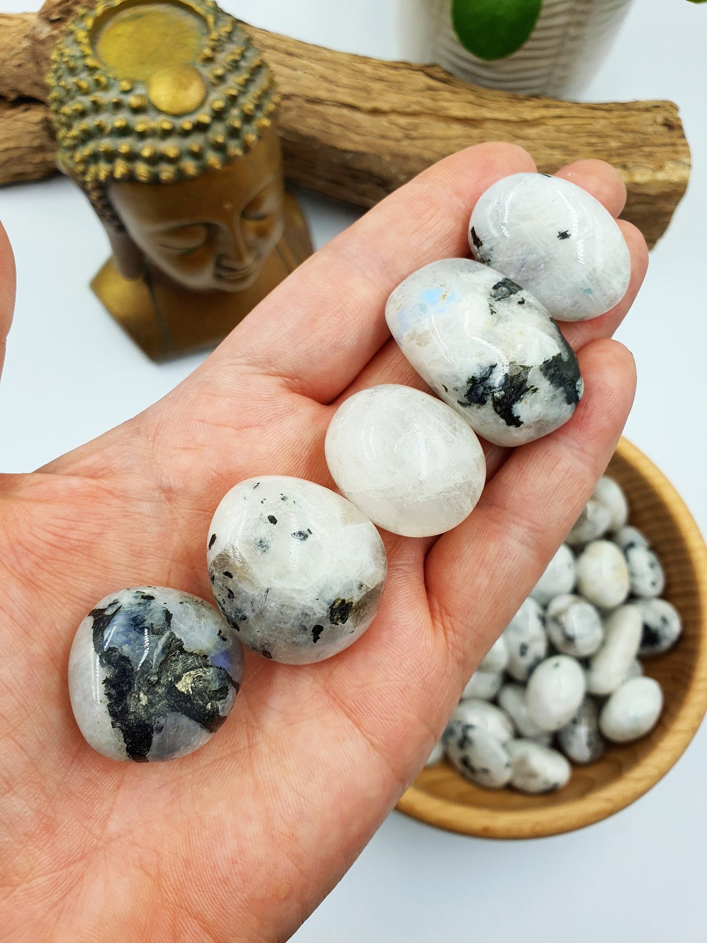 Rainbow Moonstone Tumbles
