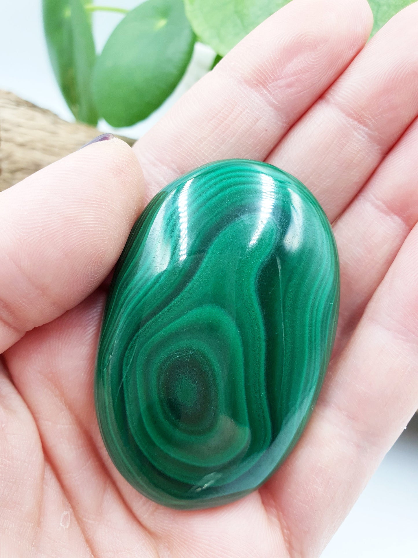 Natural Silky Smooth Malachite Palm