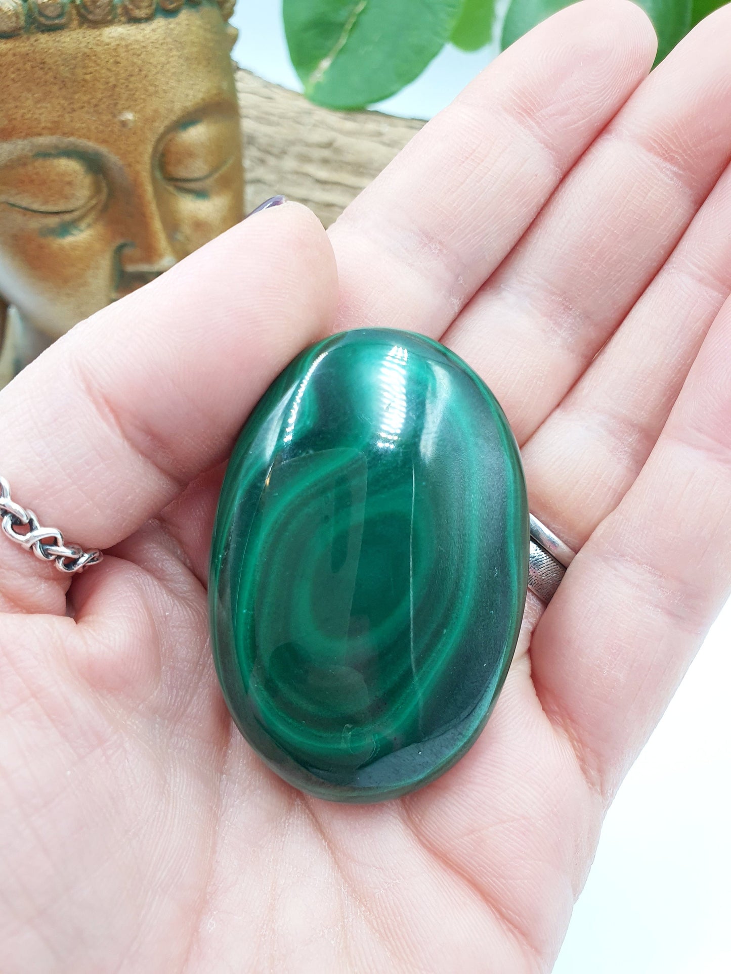 Natural Silky Smooth Malachite Crystal Palm