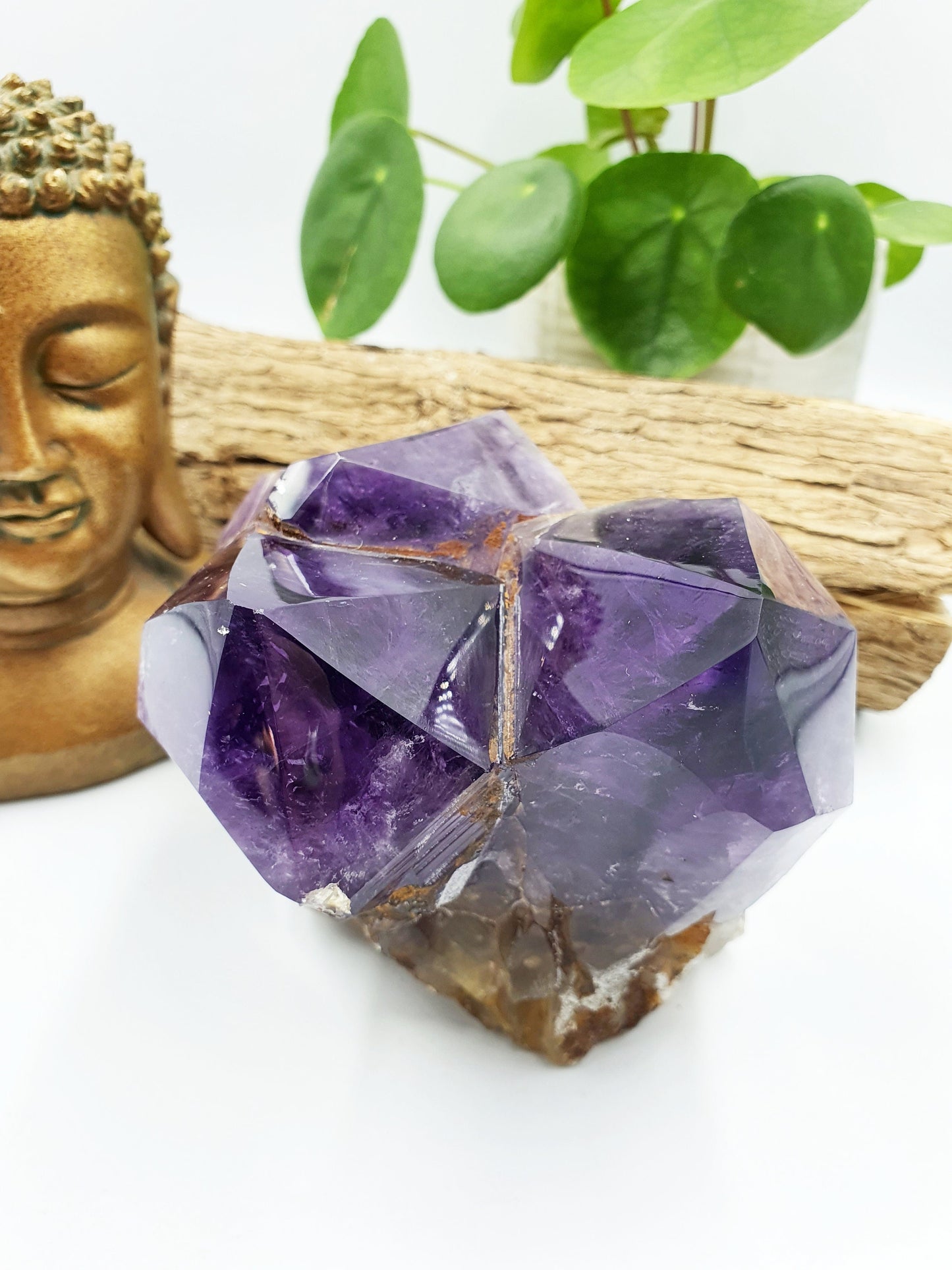 Amethyst Raw Polished Crystal Point