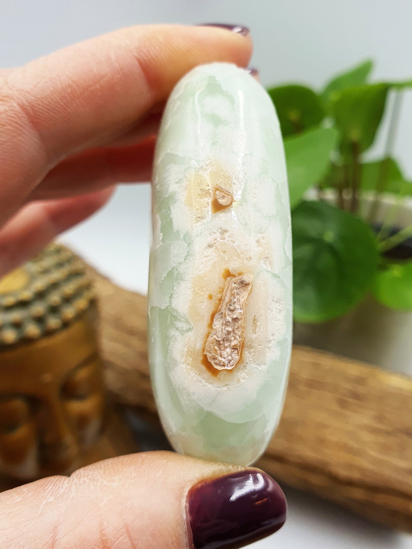 Caribbean Calcite Crystal Palm