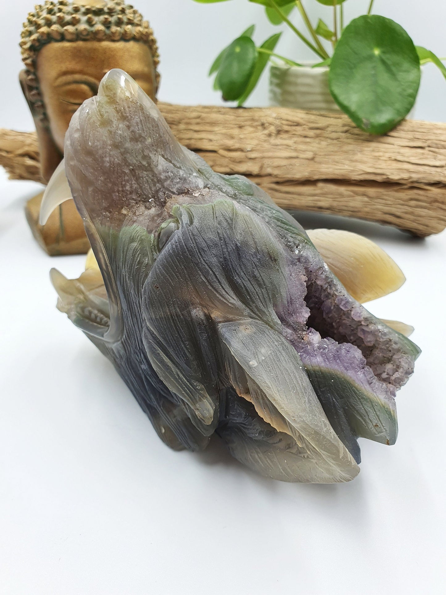 Unique Large Drusy Amethyst Agate Crystal Carved Wolf Head - 1024g