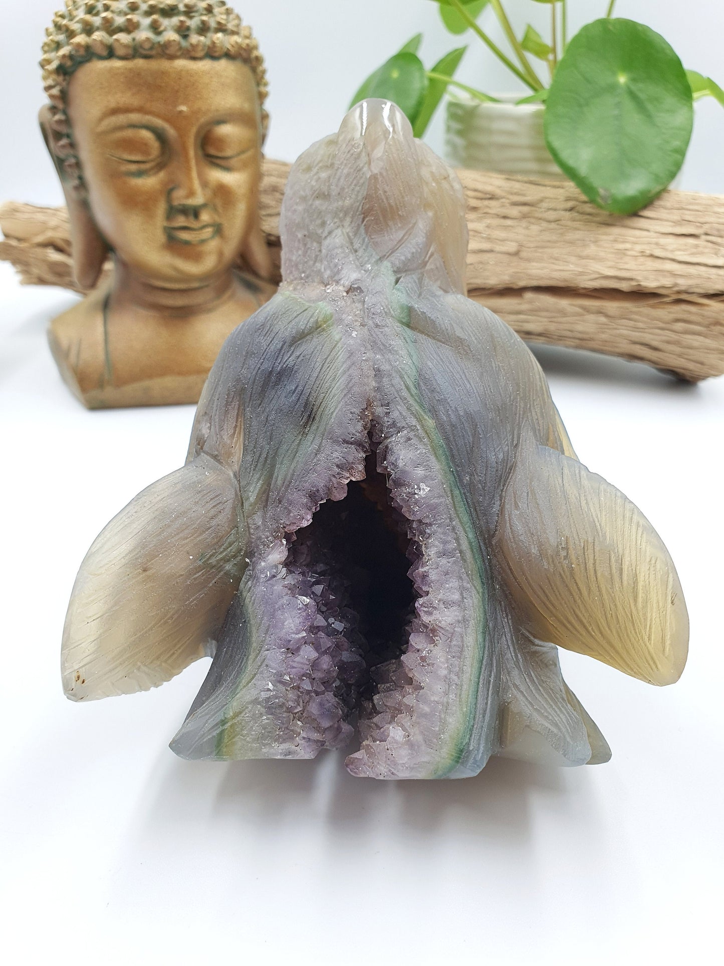 Unique Large Drusy Amethyst Agate Crystal Carved Wolf Head - 1024g