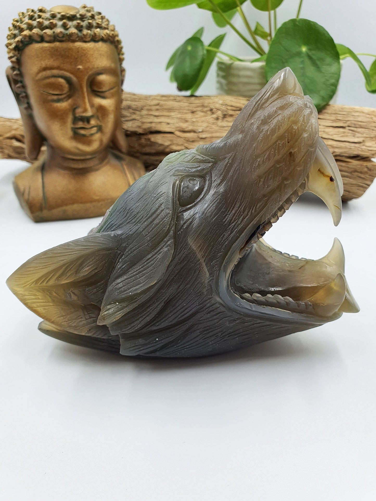 Unique Large Drusy Amethyst Agate Crystal Carved Wolf Head - 1024g