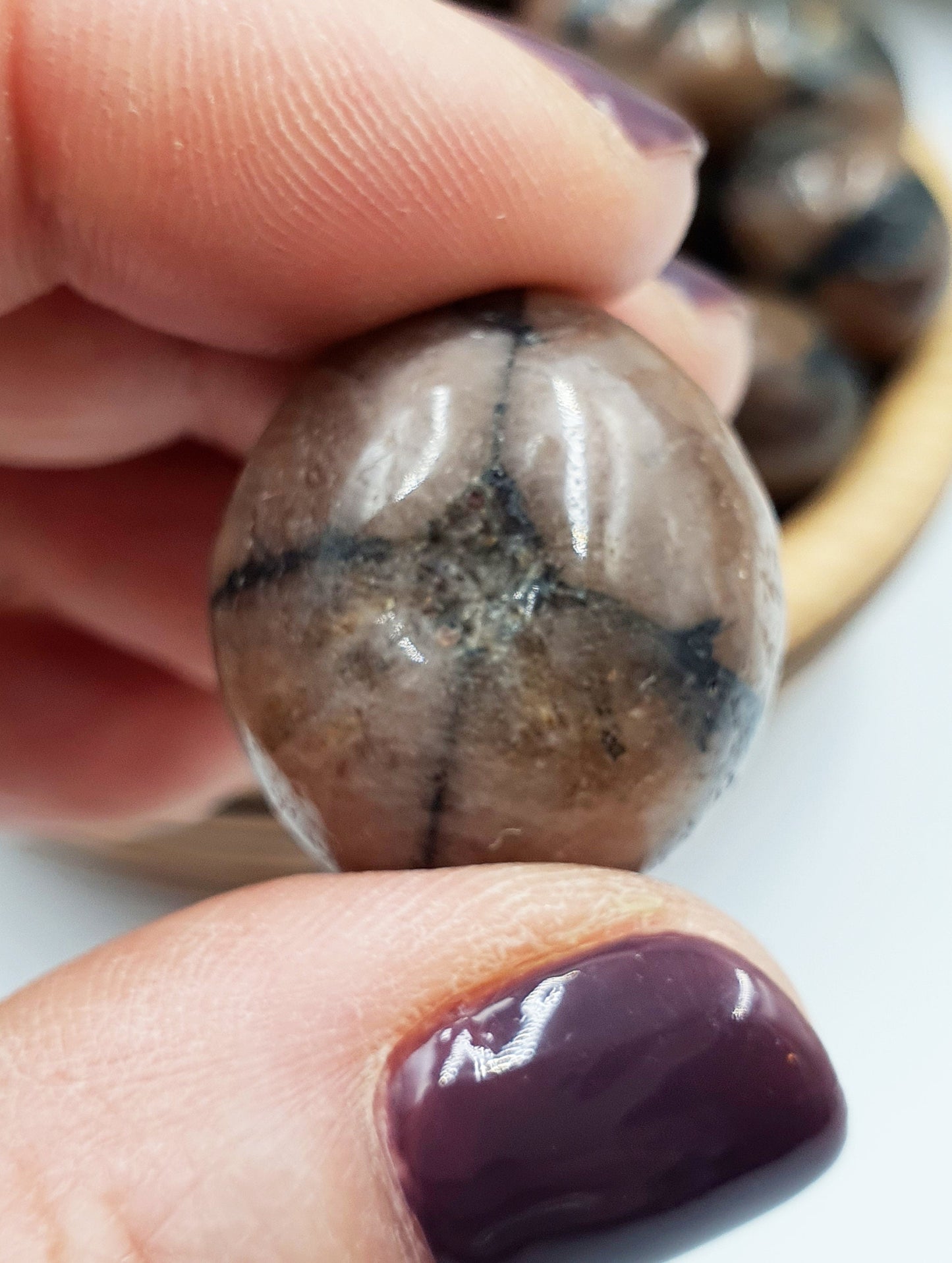 Chiastolite Crystal Tumble