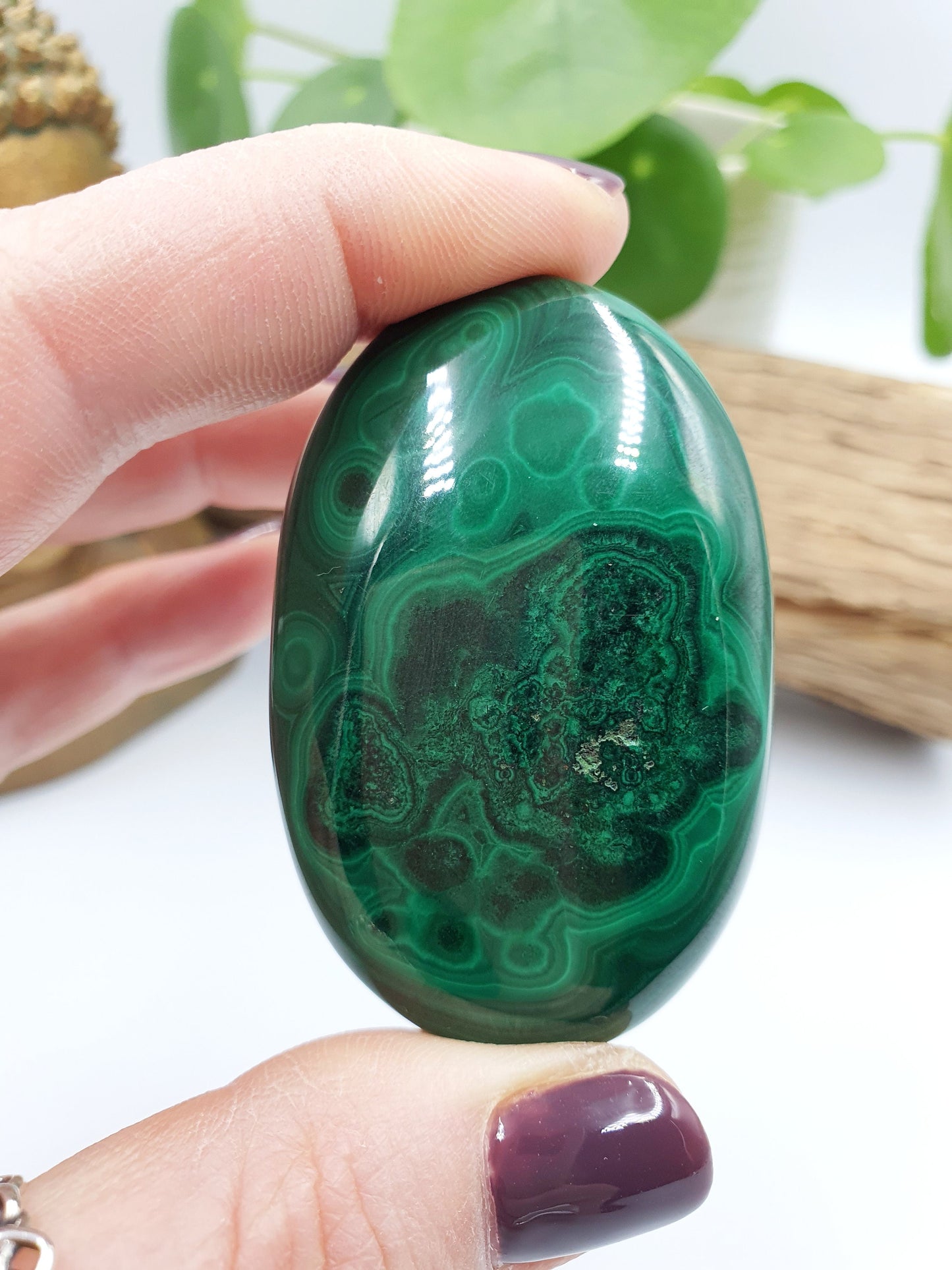 Natural Silky Smooth Malachite Palm