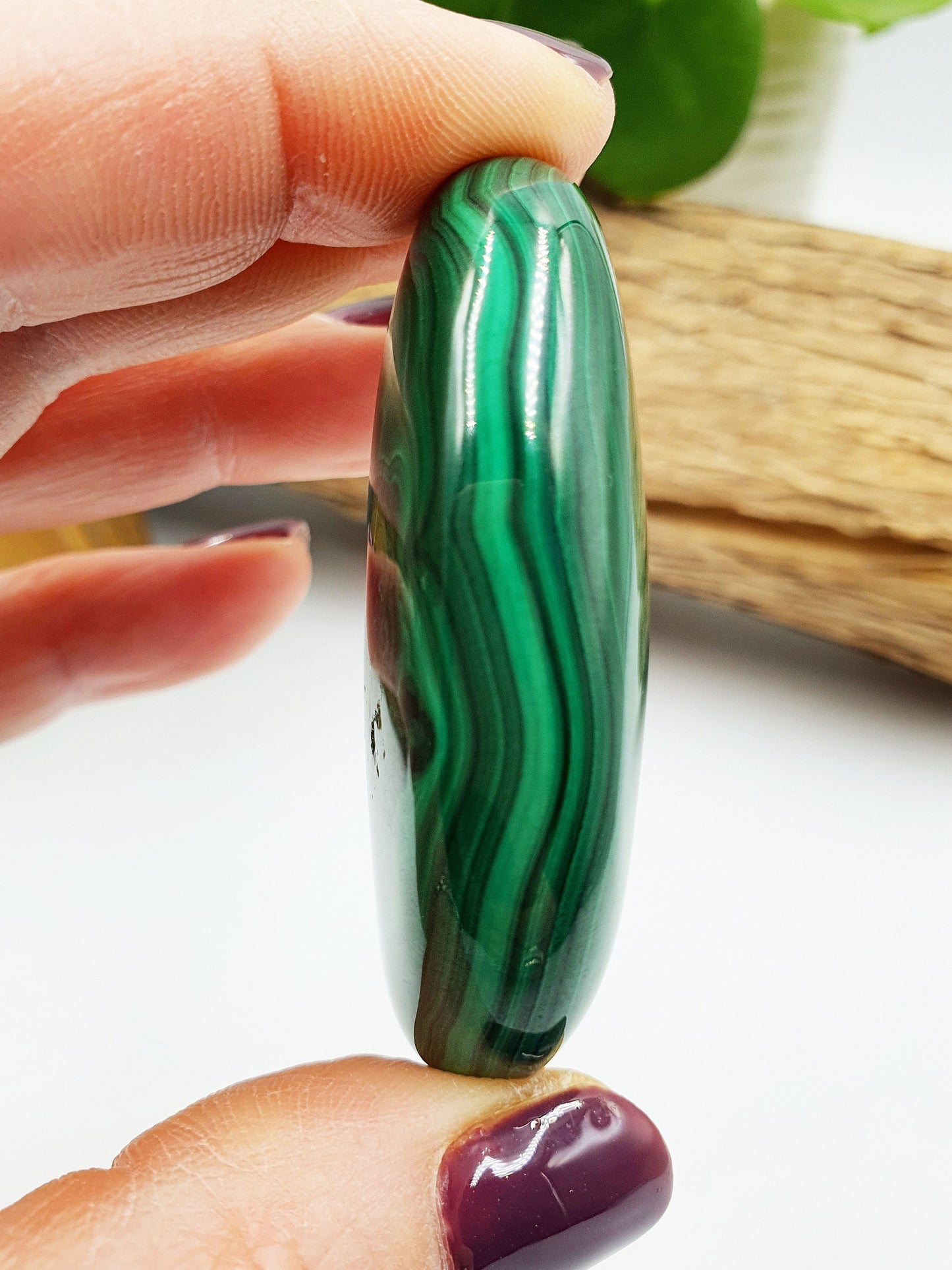 Natural Silky Smooth Malachite Palm
