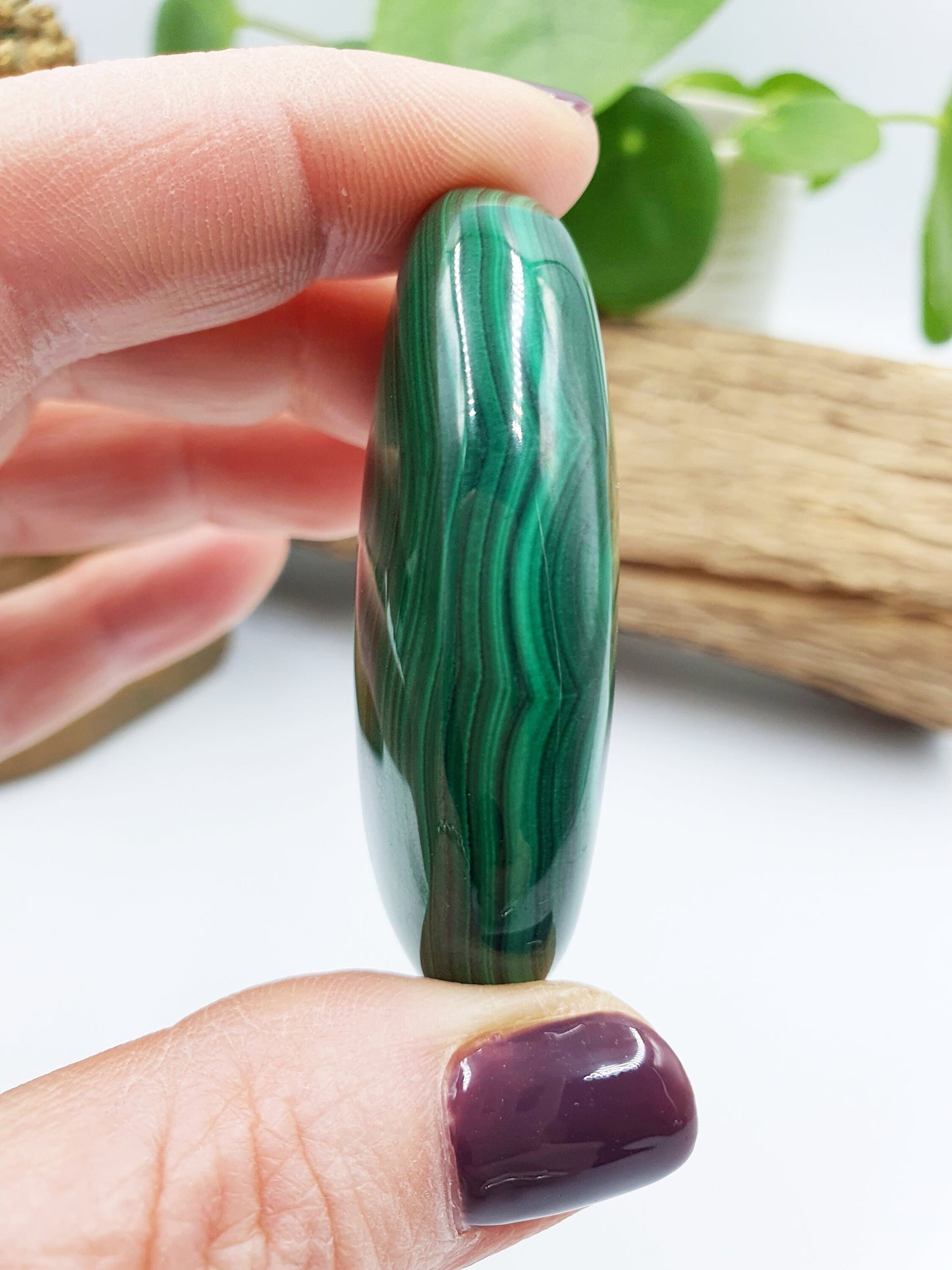 Natural Silky Smooth Malachite Palm