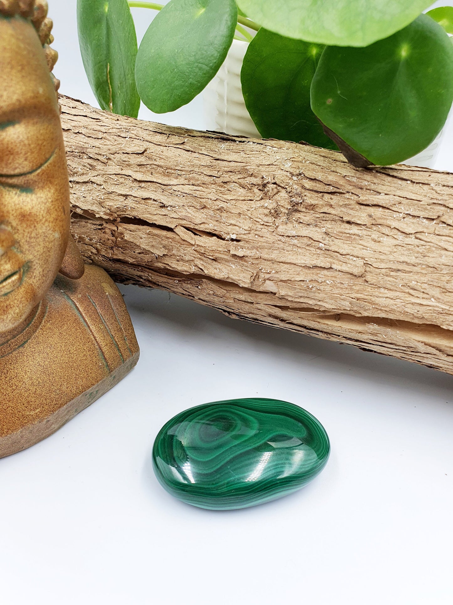 Natural Silky Smooth Malachite Palm
