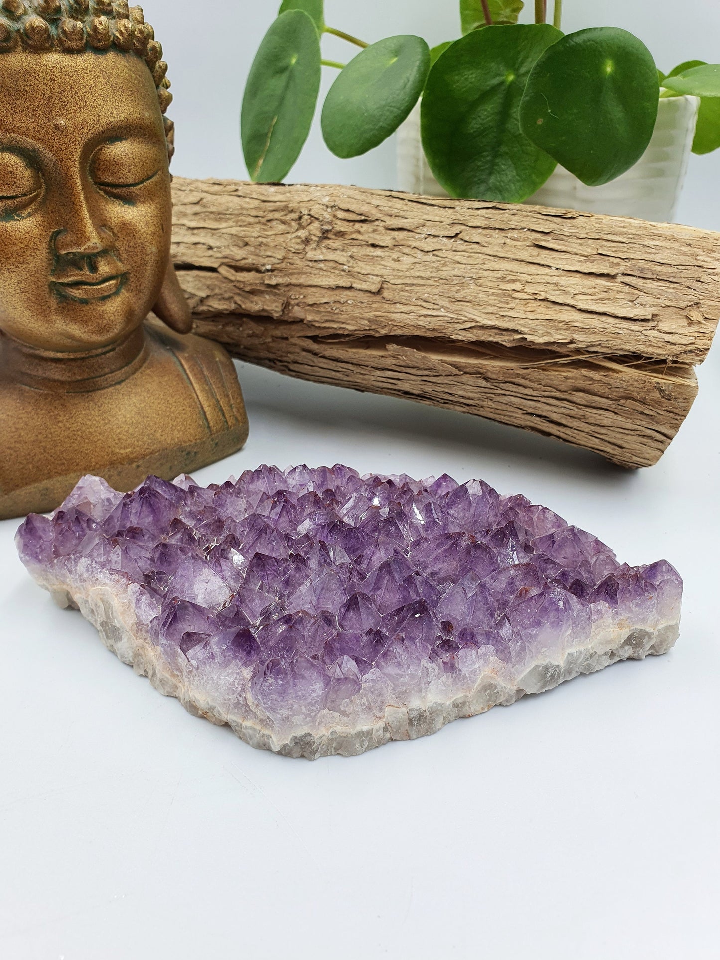 Light Amethyst Teeth Slab Crystal Cluster