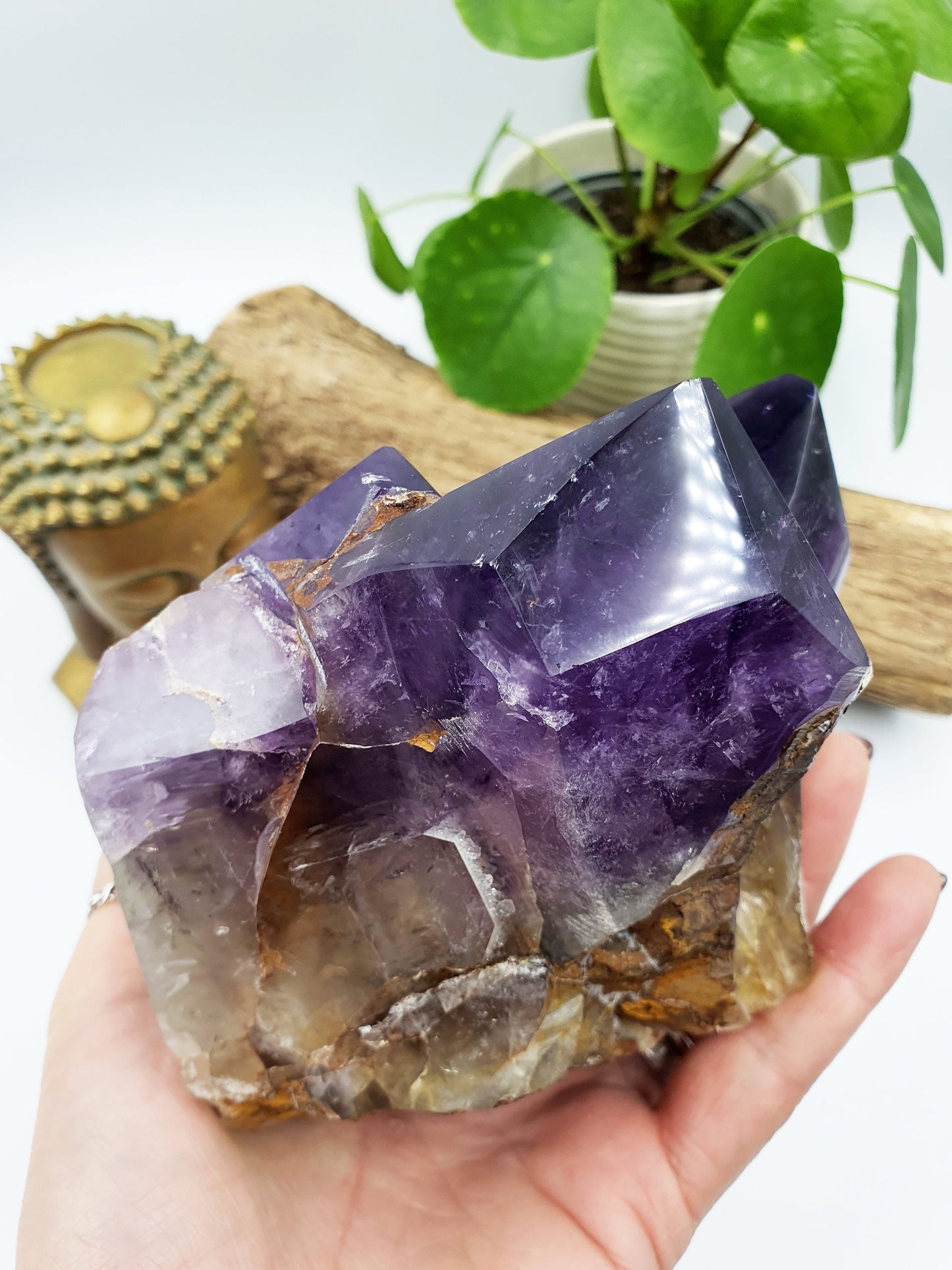 Amethyst Raw Polished Crystal Point