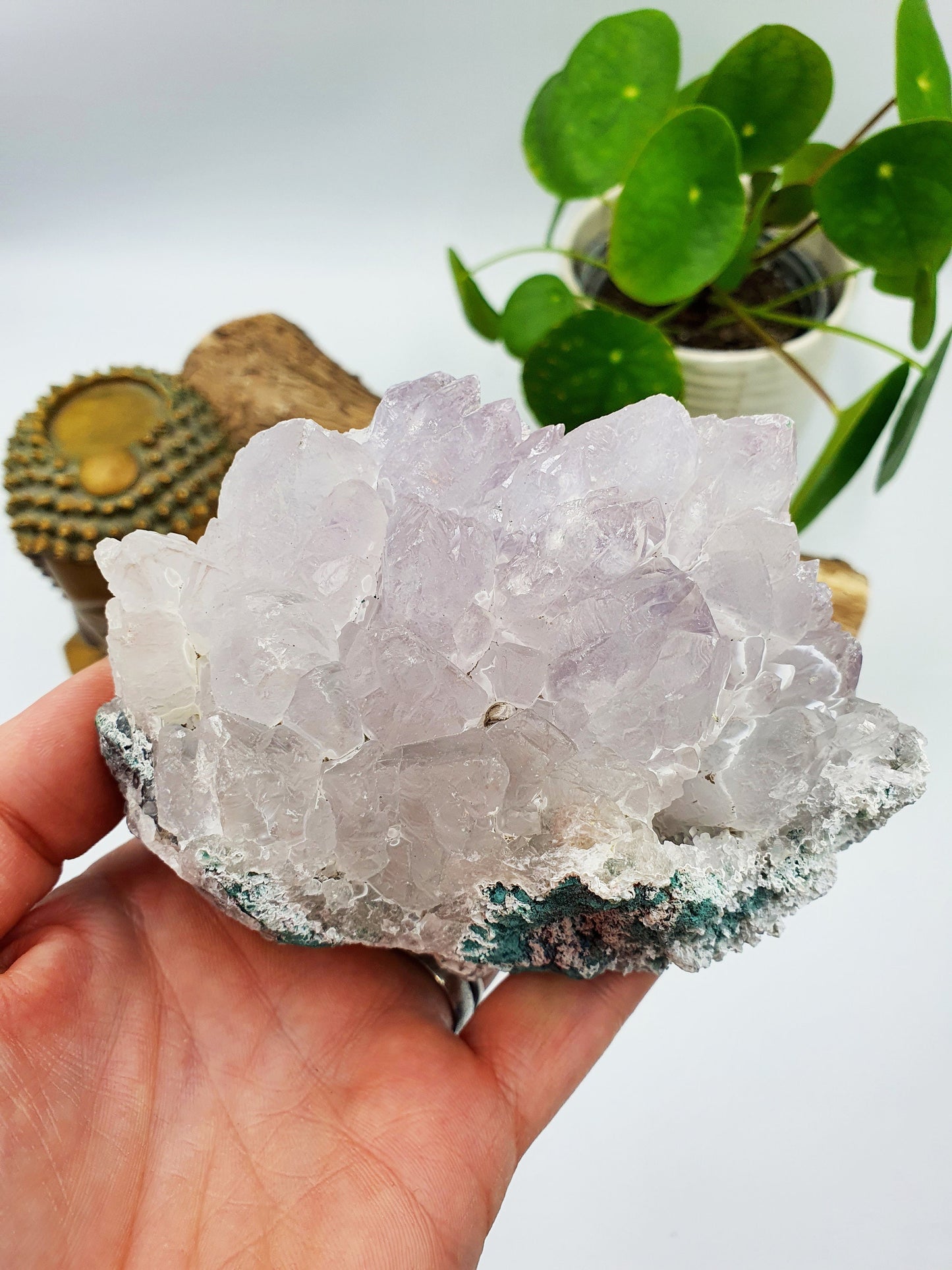 Phantom Quartz Natural Crystal Cluster