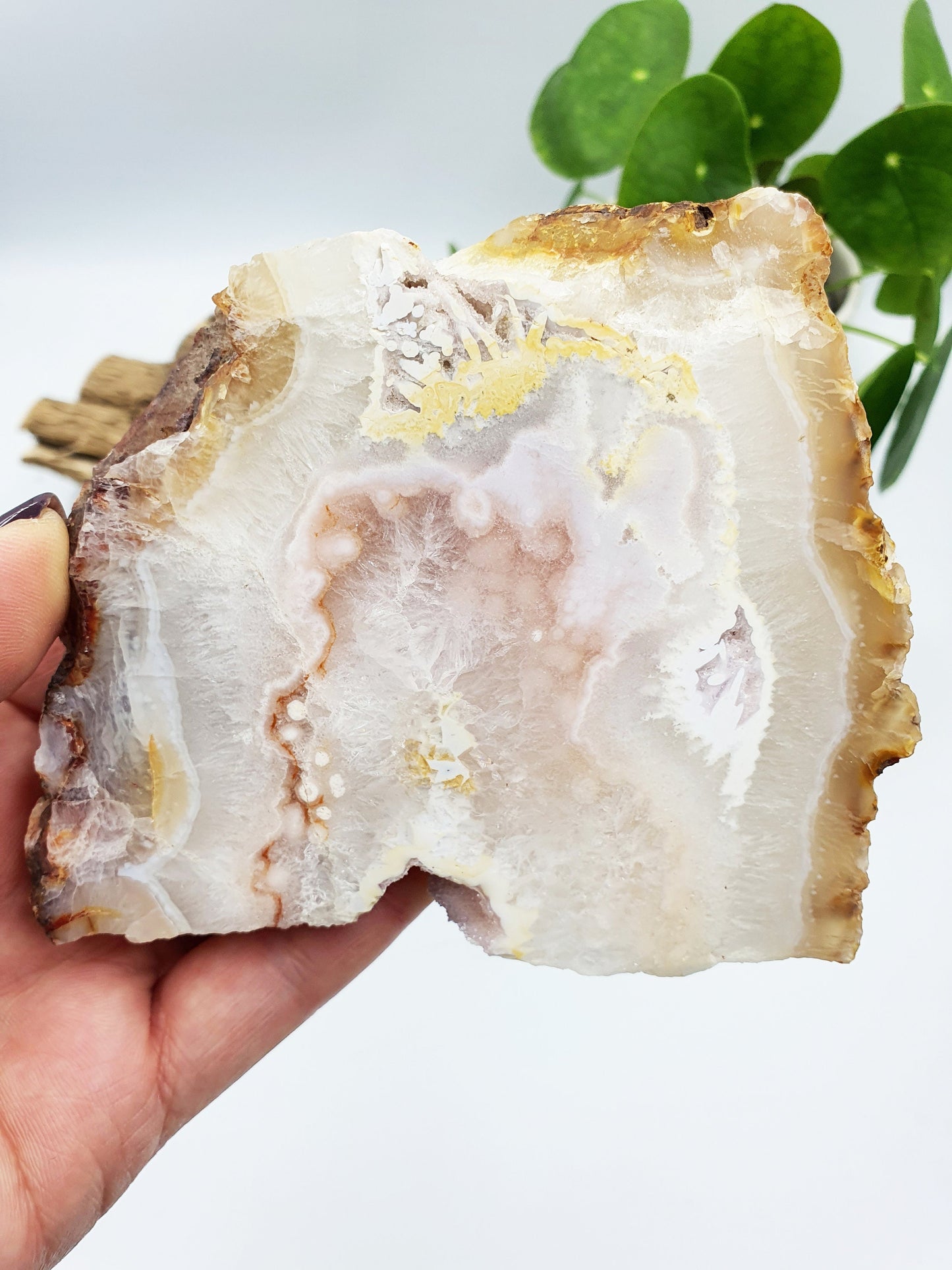 Pink Amethyst Crystal Slice with druzy