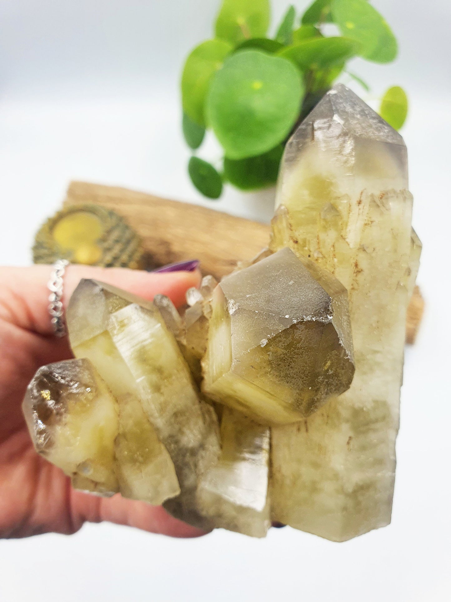 Raw Citrine Crystal Cluster