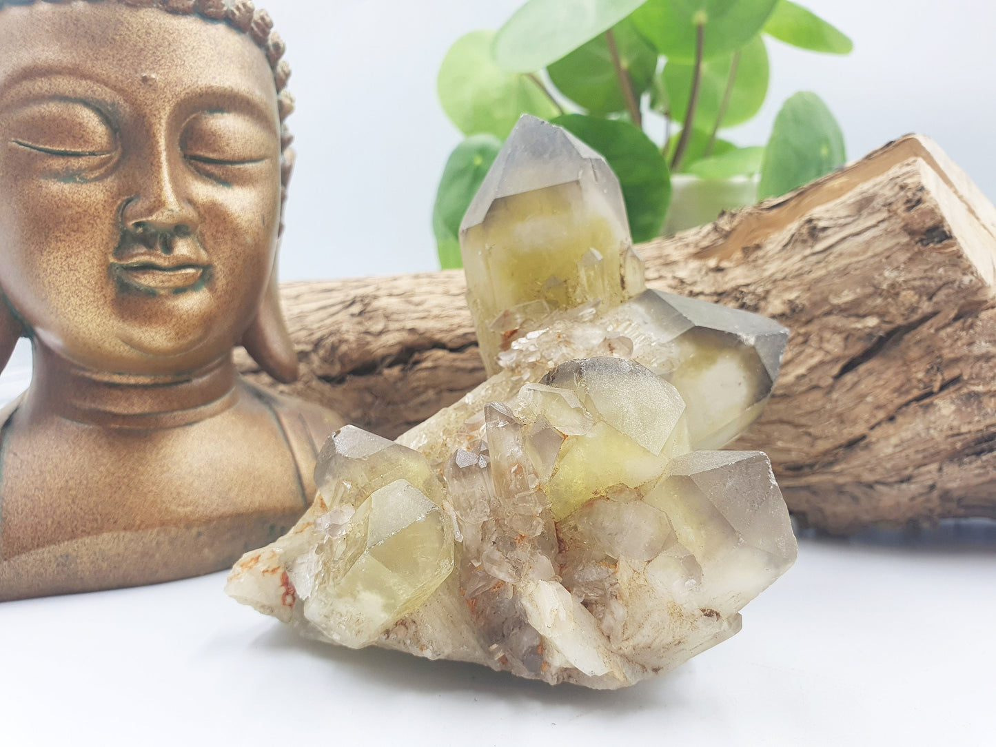 Raw Citrine Crystal Cluster