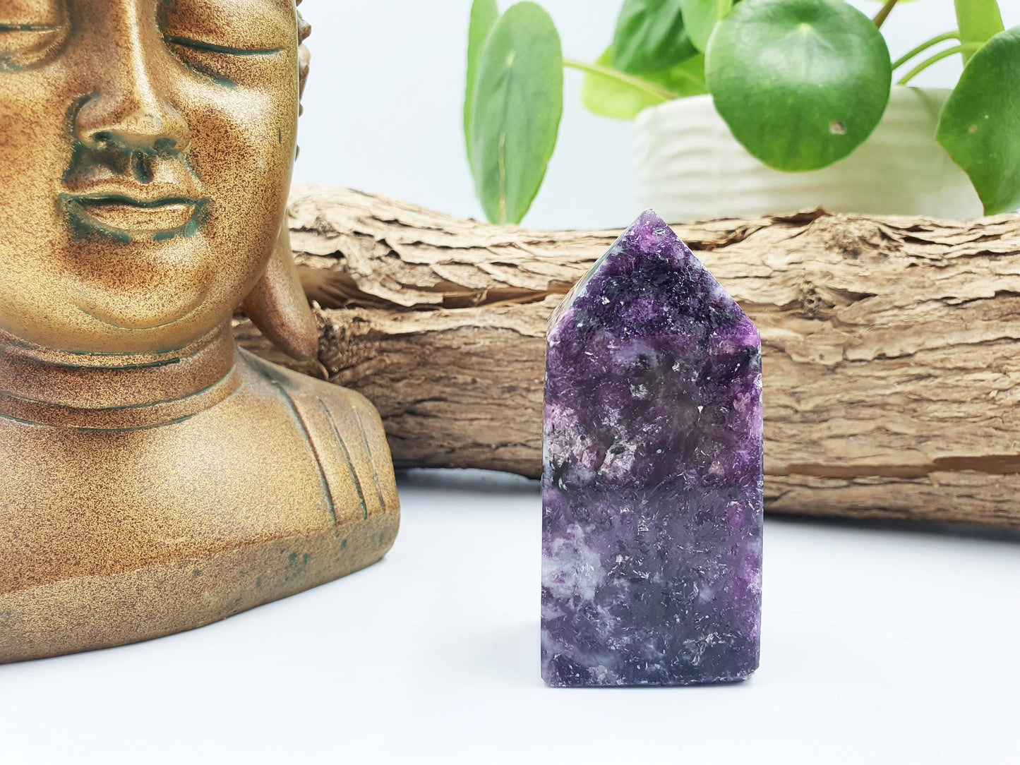Flashy Purple Mica Point