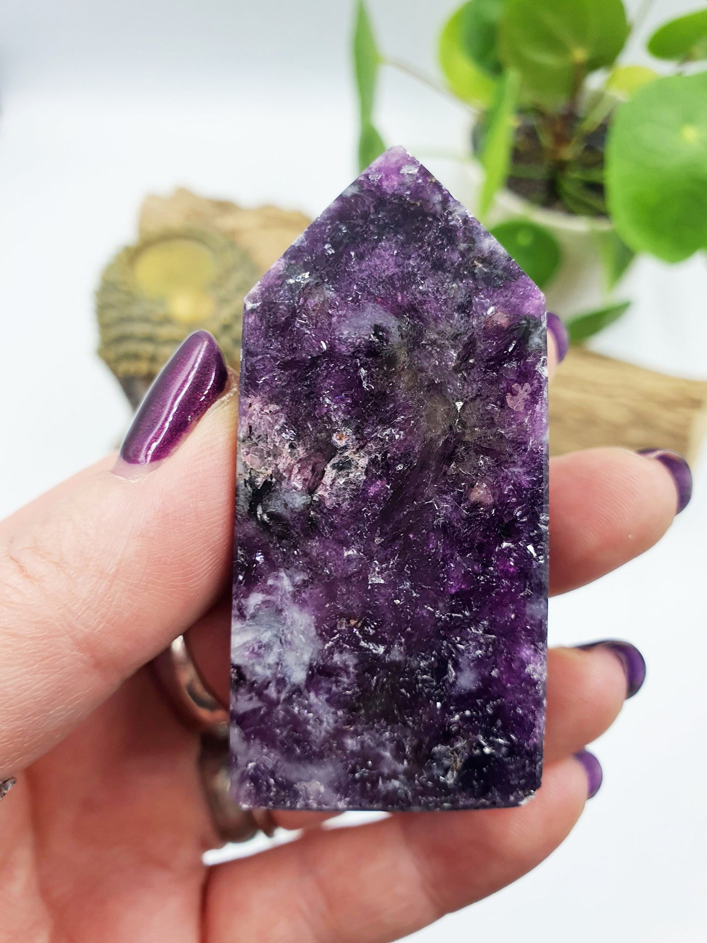 Flashy Purple Mica Point