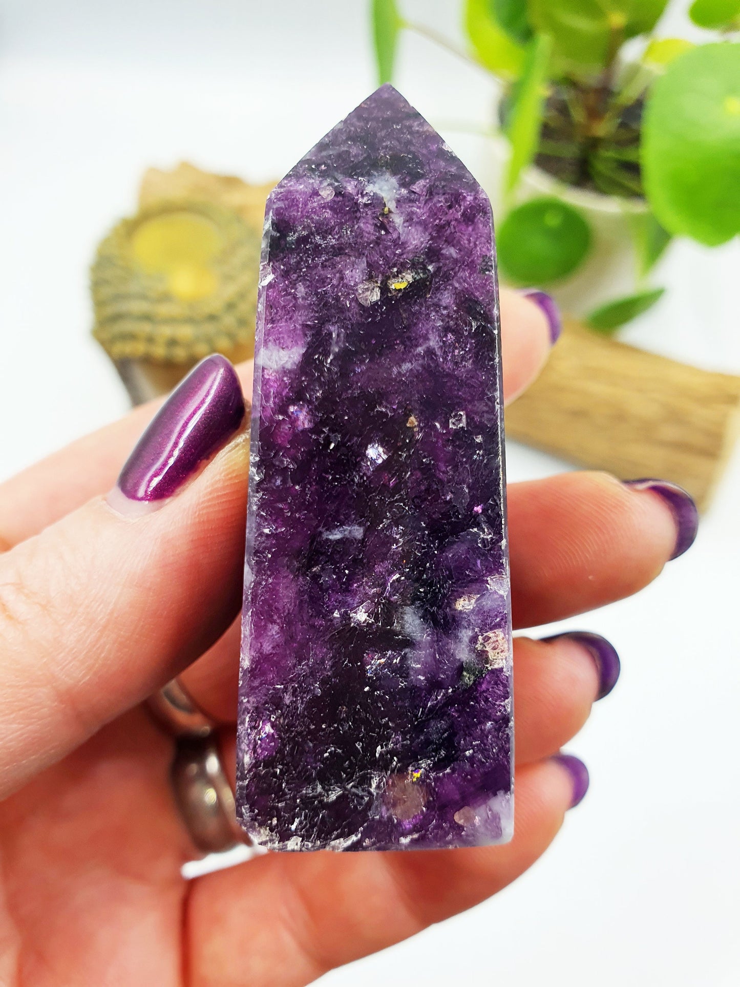 Flashy Purple Mica Point