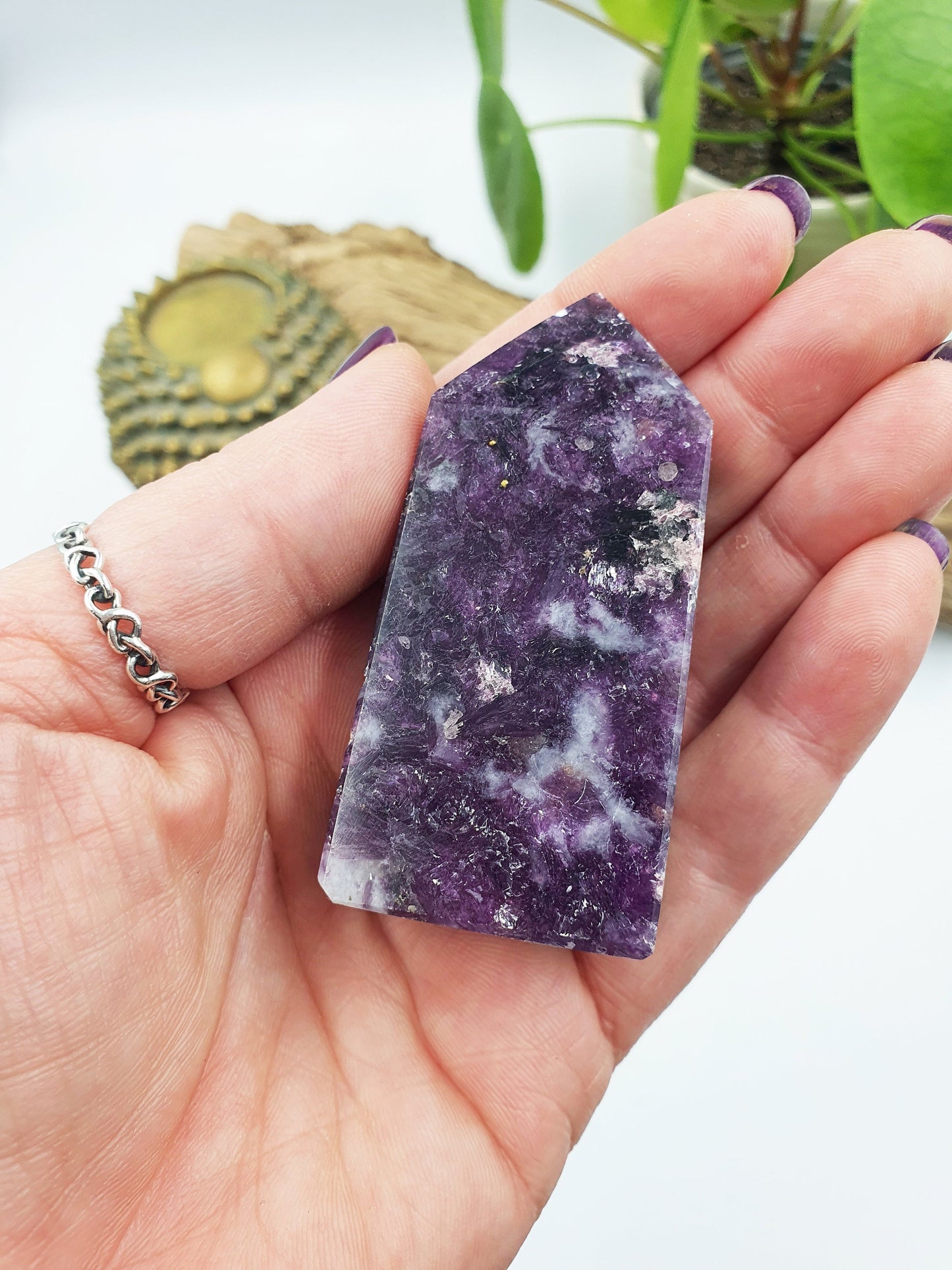 Flashy Purple Mica Point
