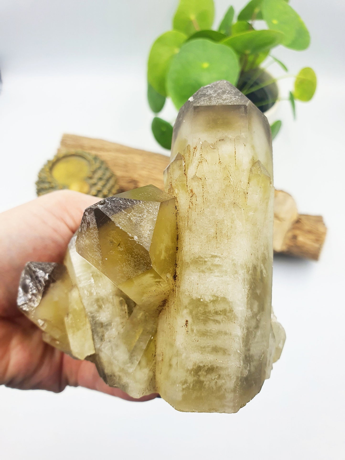 Raw Citrine Crystal Cluster
