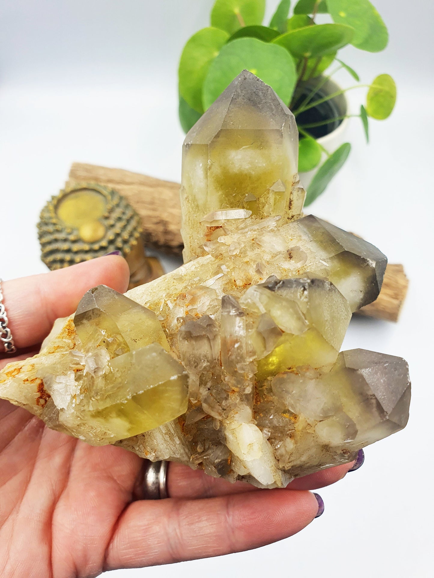 Raw Citrine Crystal Cluster