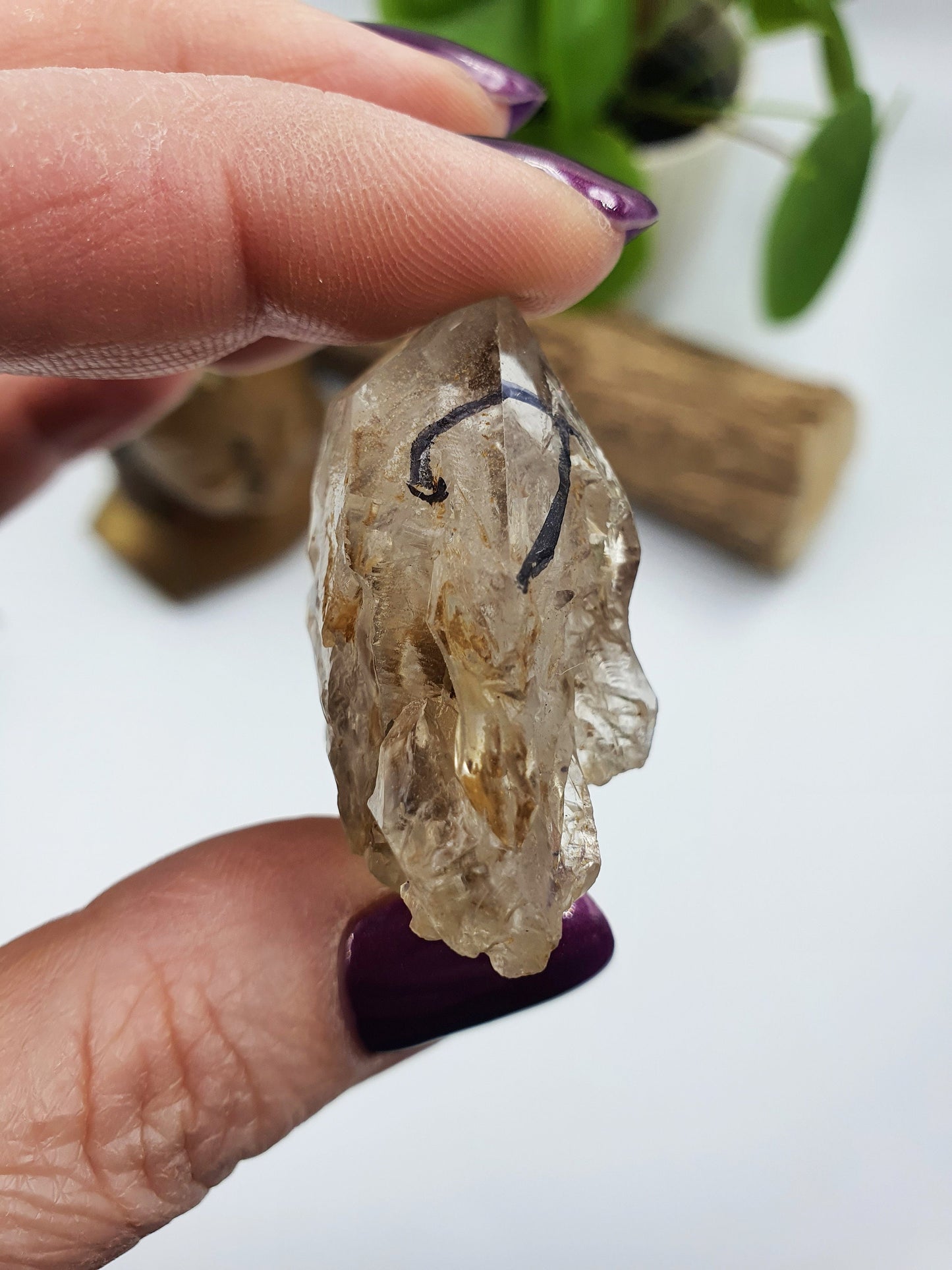 Elestial Enhydro Quartz