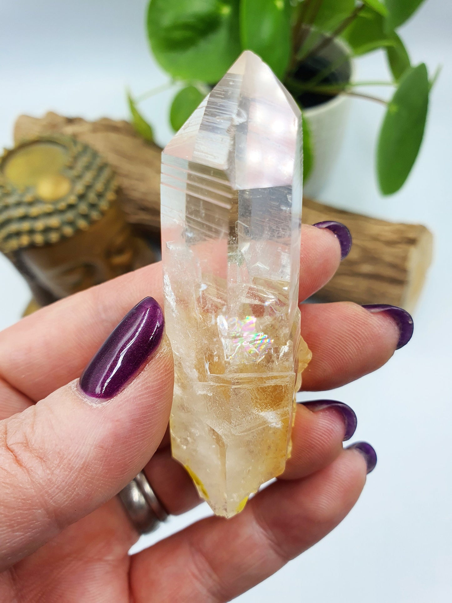Lemurian Quartz Cluster Point with rainbow