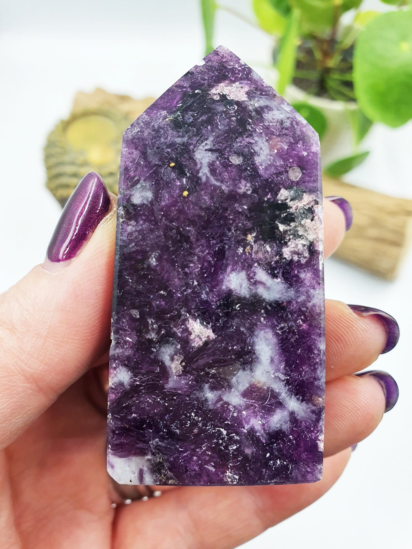 Flashy Purple Mica Point
