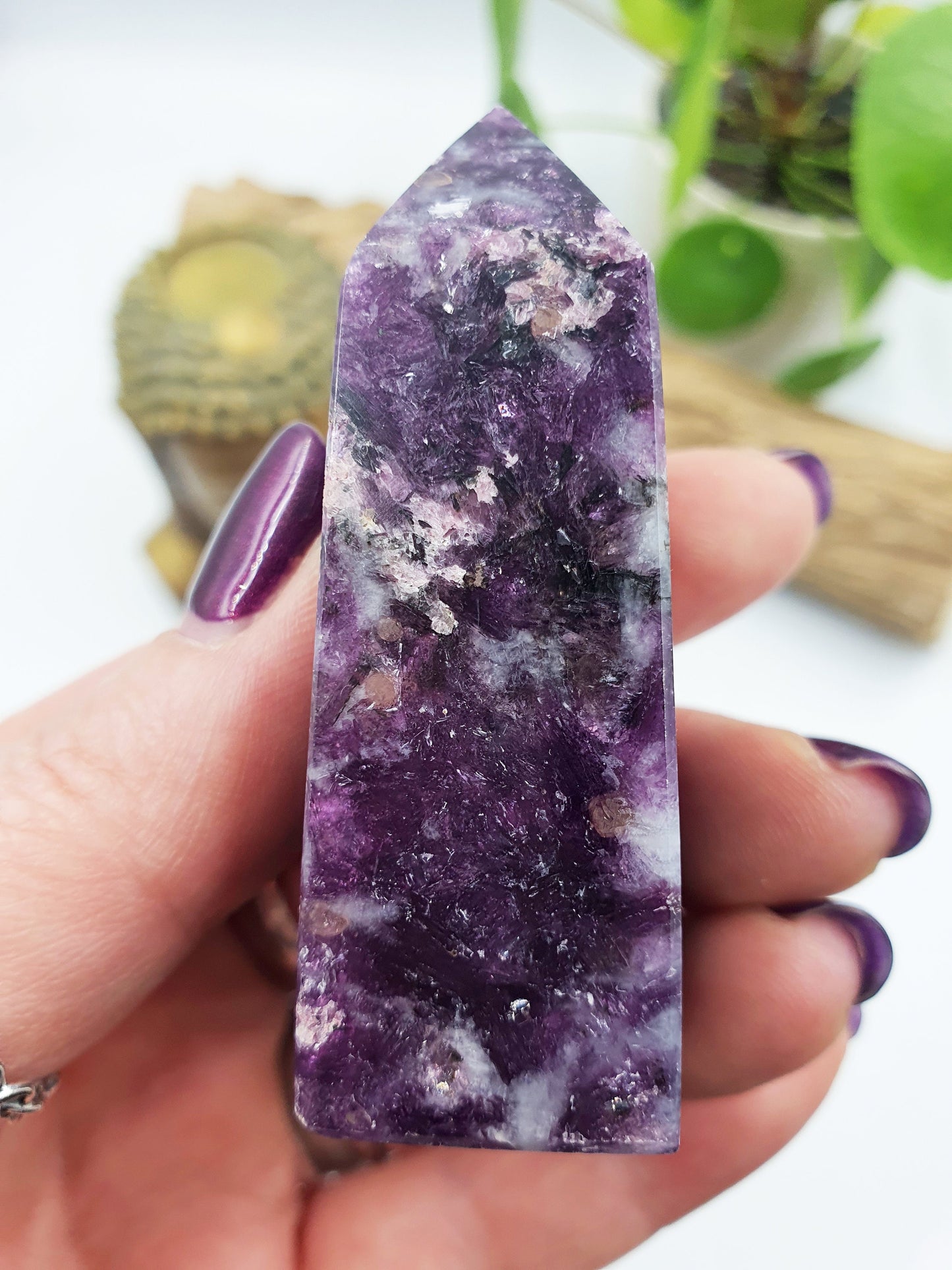 Flashy Purple Mica Point