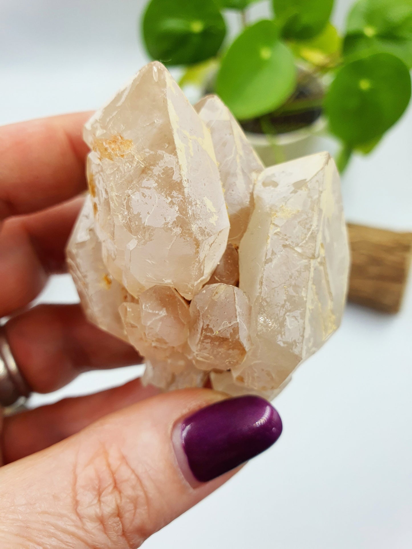 Clear Quartz Pinapple Cluster