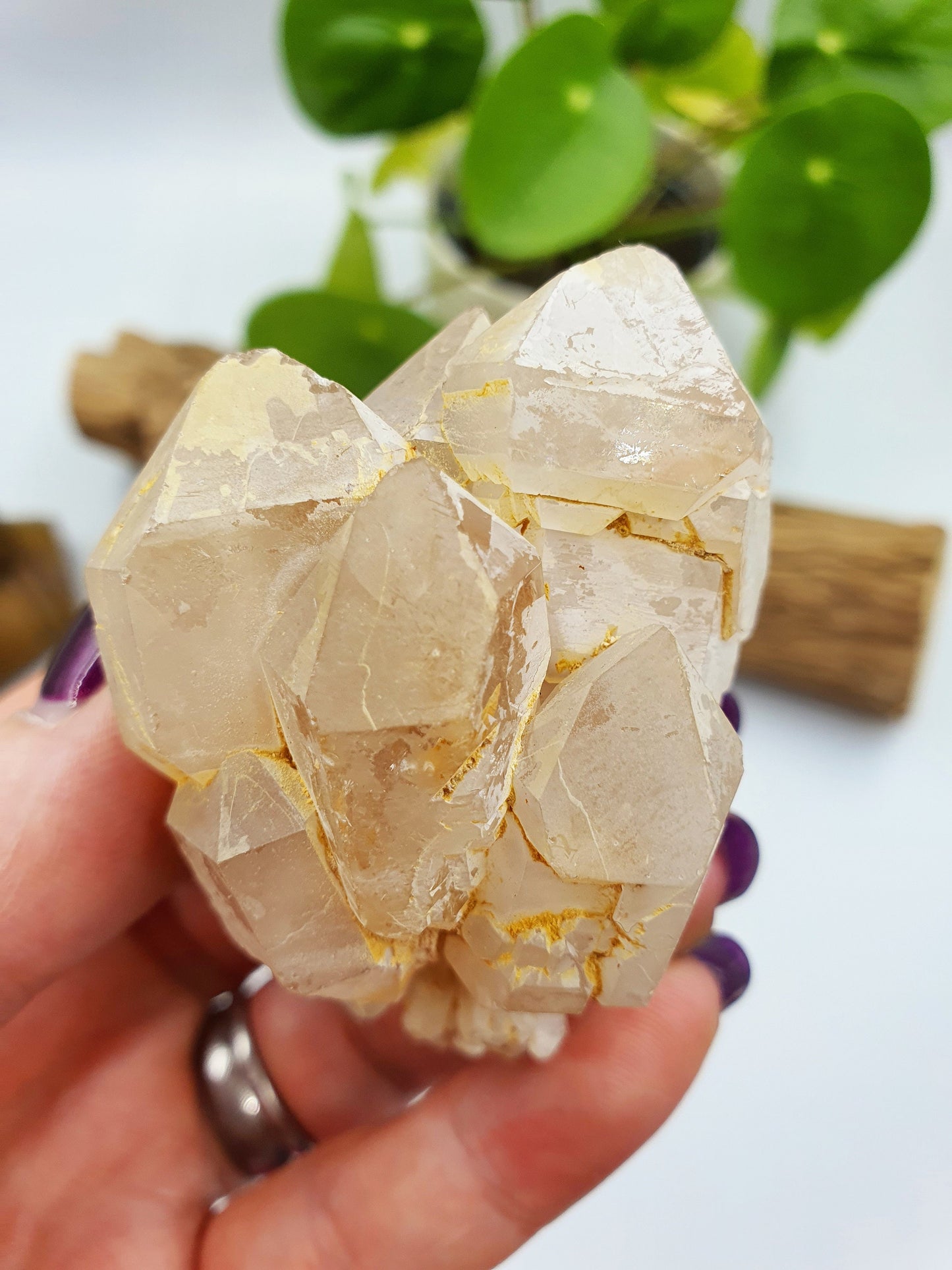 Clear Quartz Pinapple Cluster