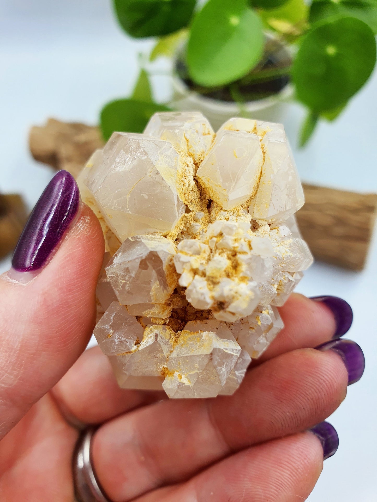 Clear Quartz Pinapple Cluster