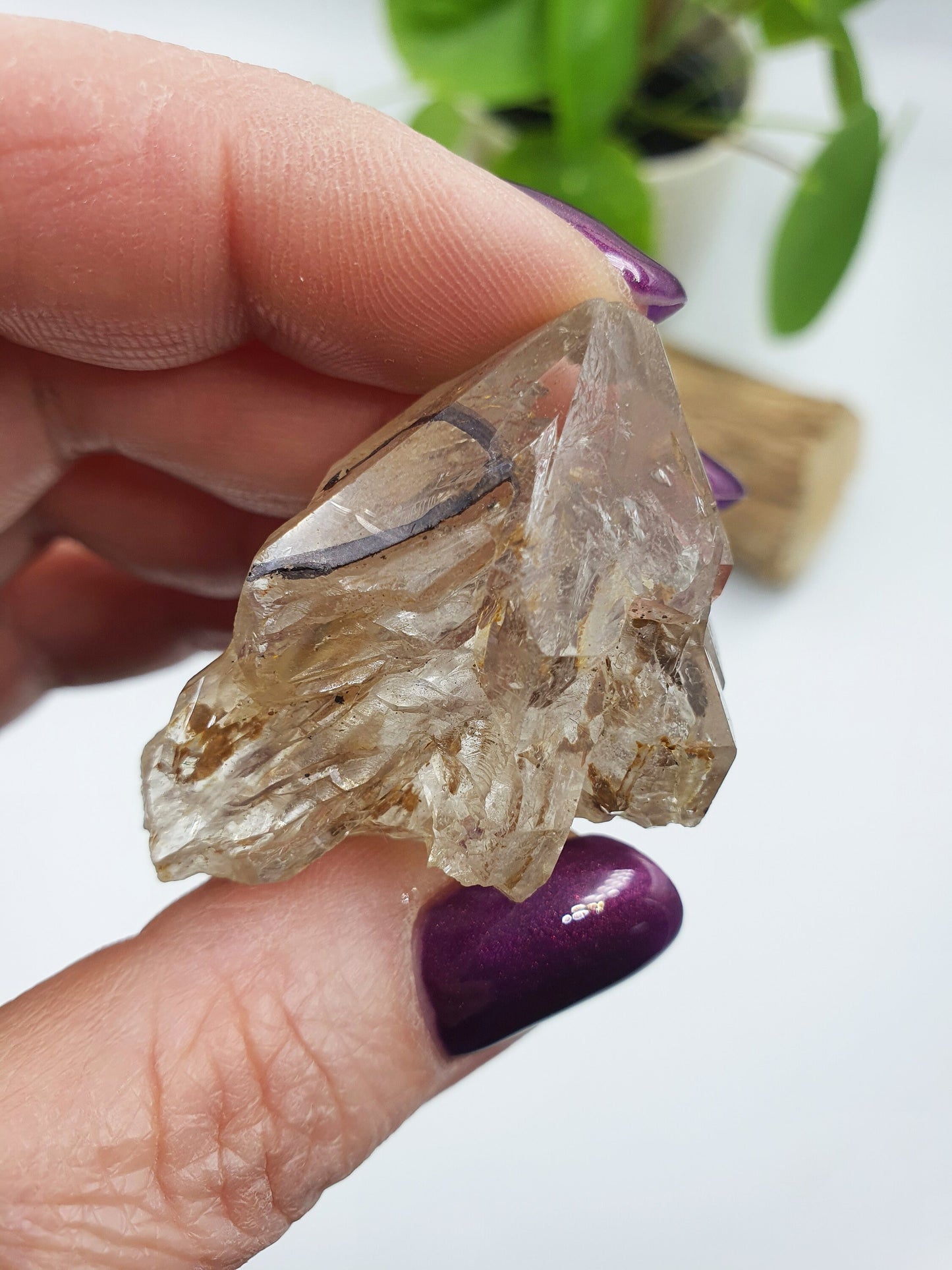 Elestial Enhydro Quartz