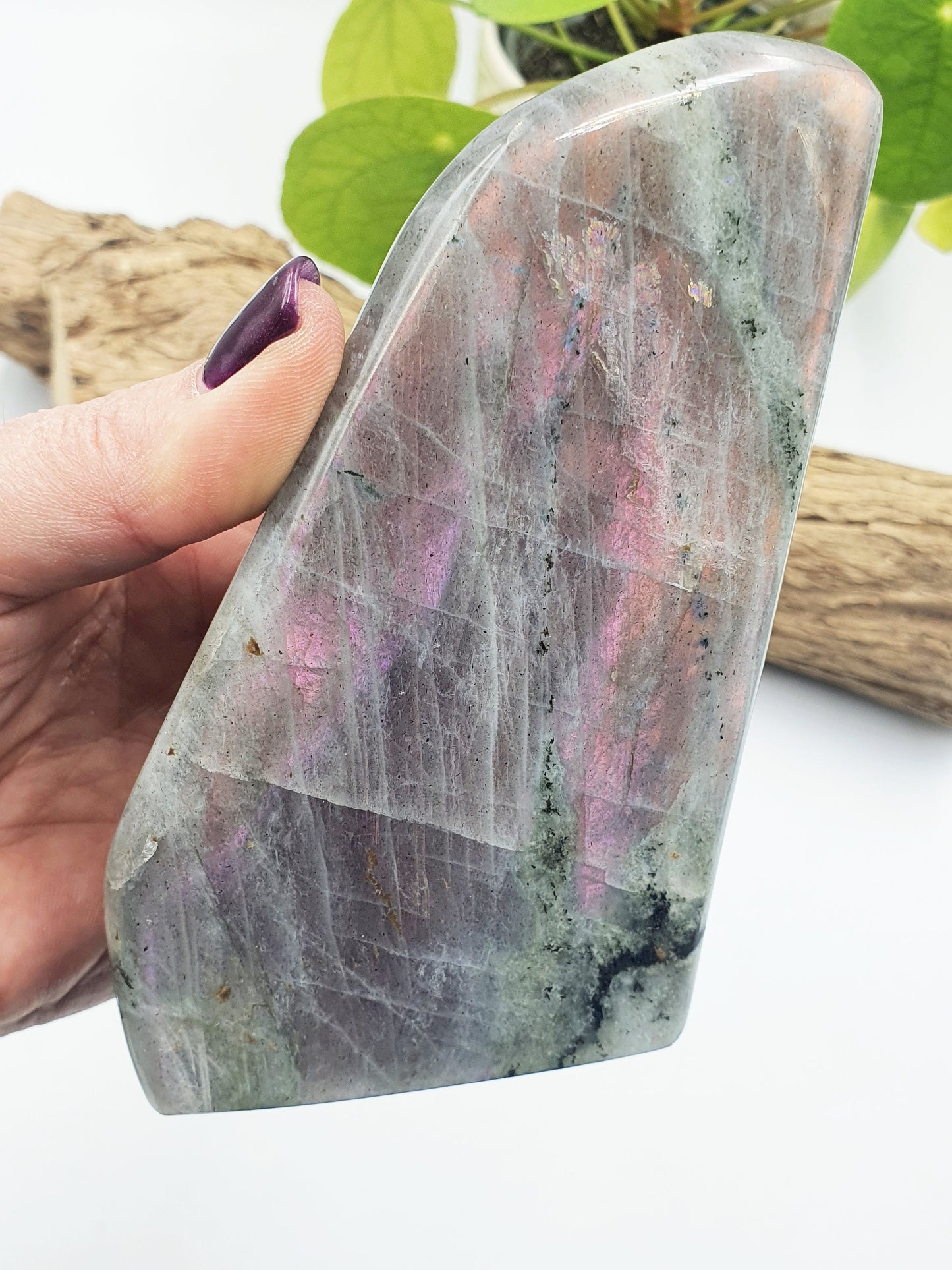 Pink Labradorite Freeform