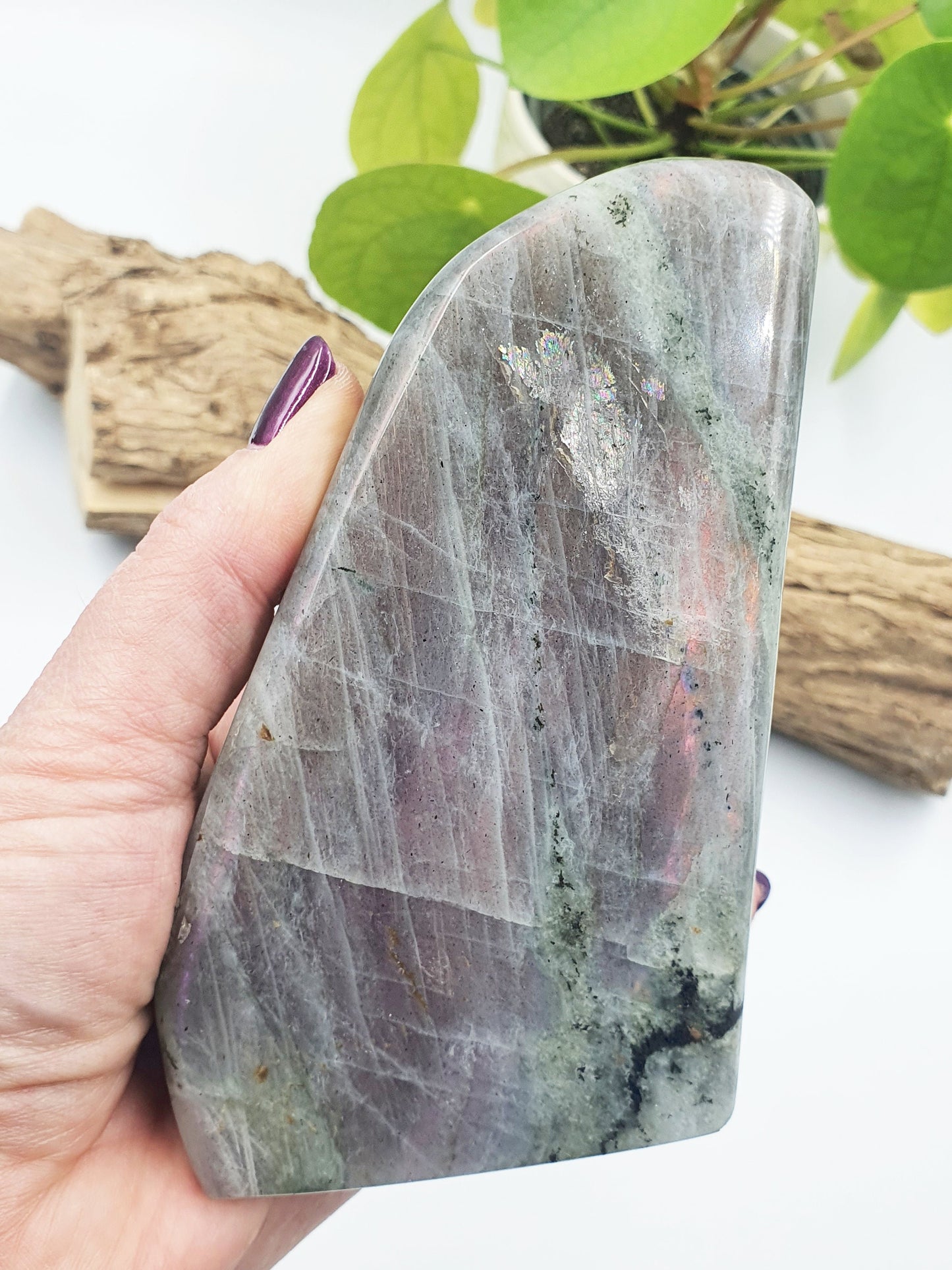 Pink Labradorite Freeform