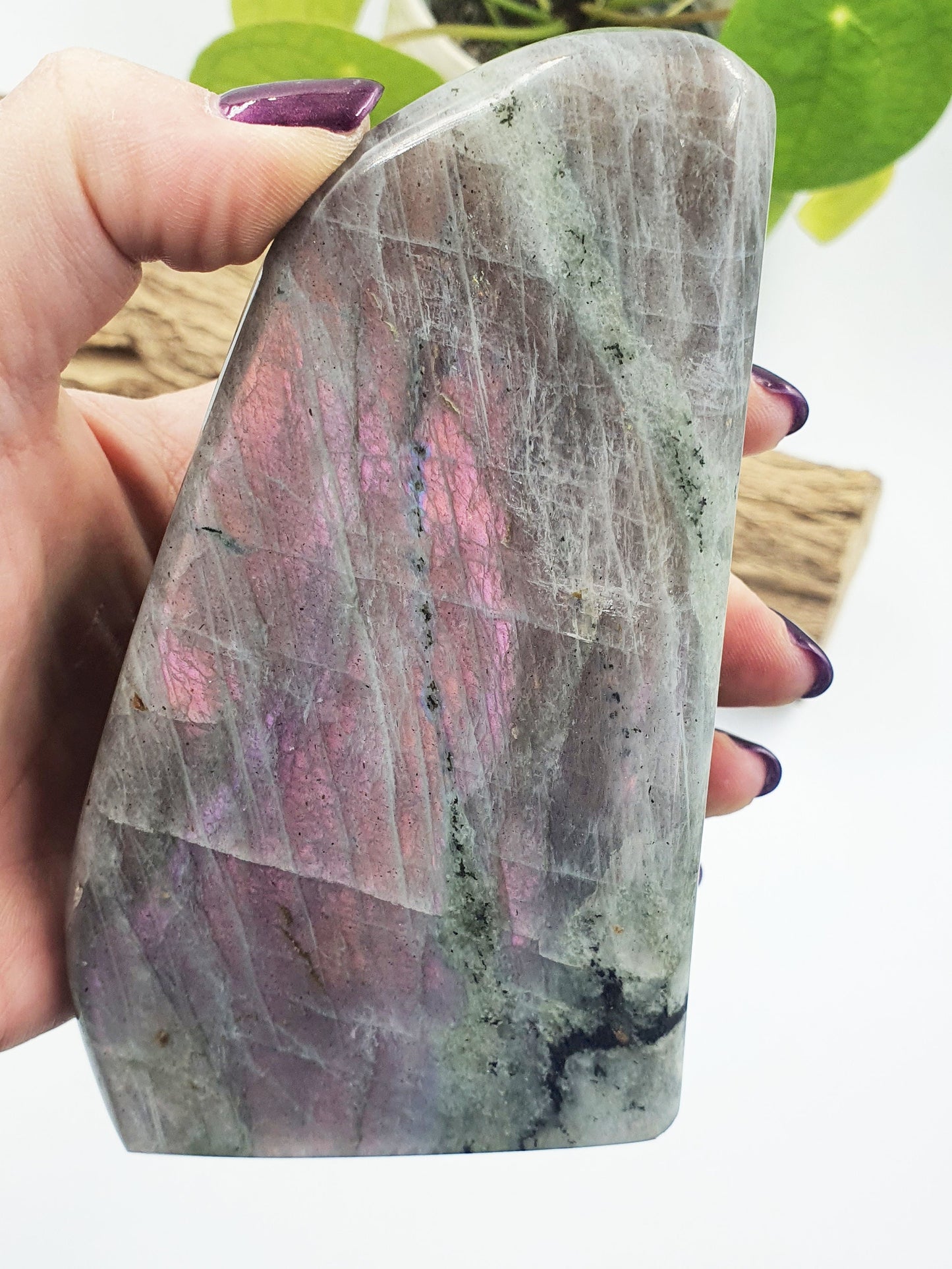 Pink Labradorite Freeform