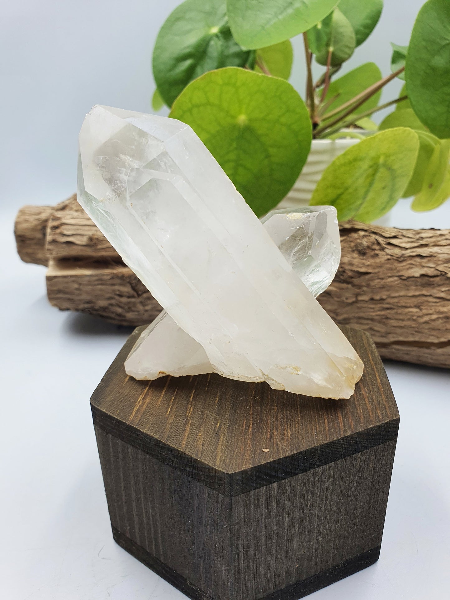 Clear Quartz Cluster