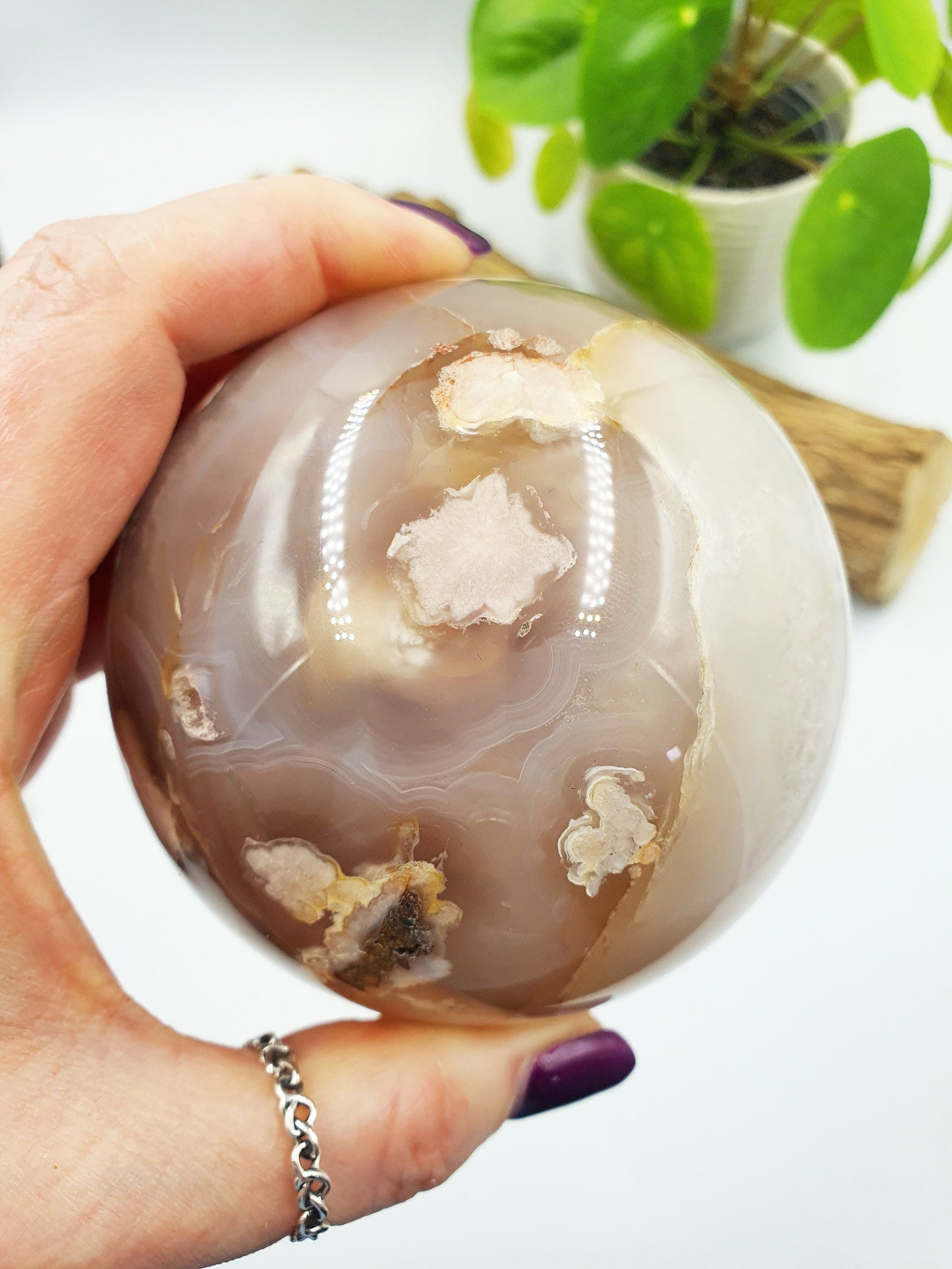 Large Flower Blossom (Sakura) Sphere