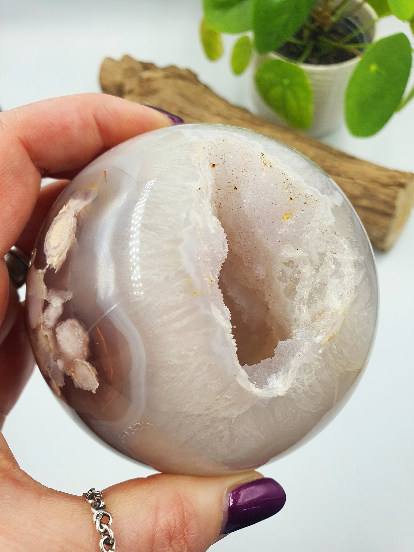 Large Flower Blossom (Sakura) Sphere