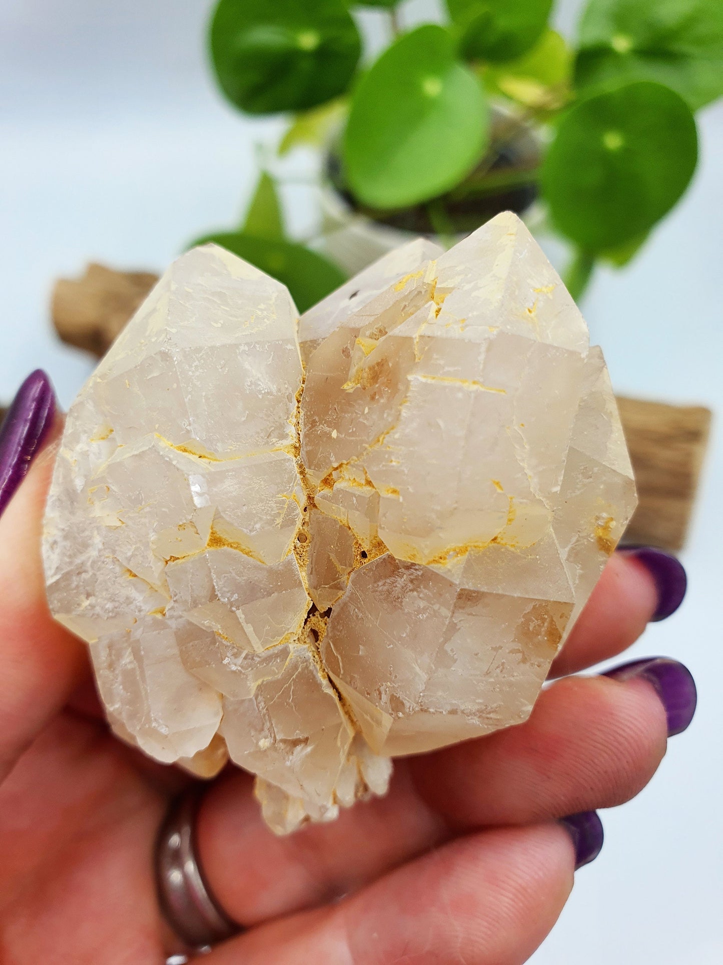 Clear Quartz Pinapple Cluster