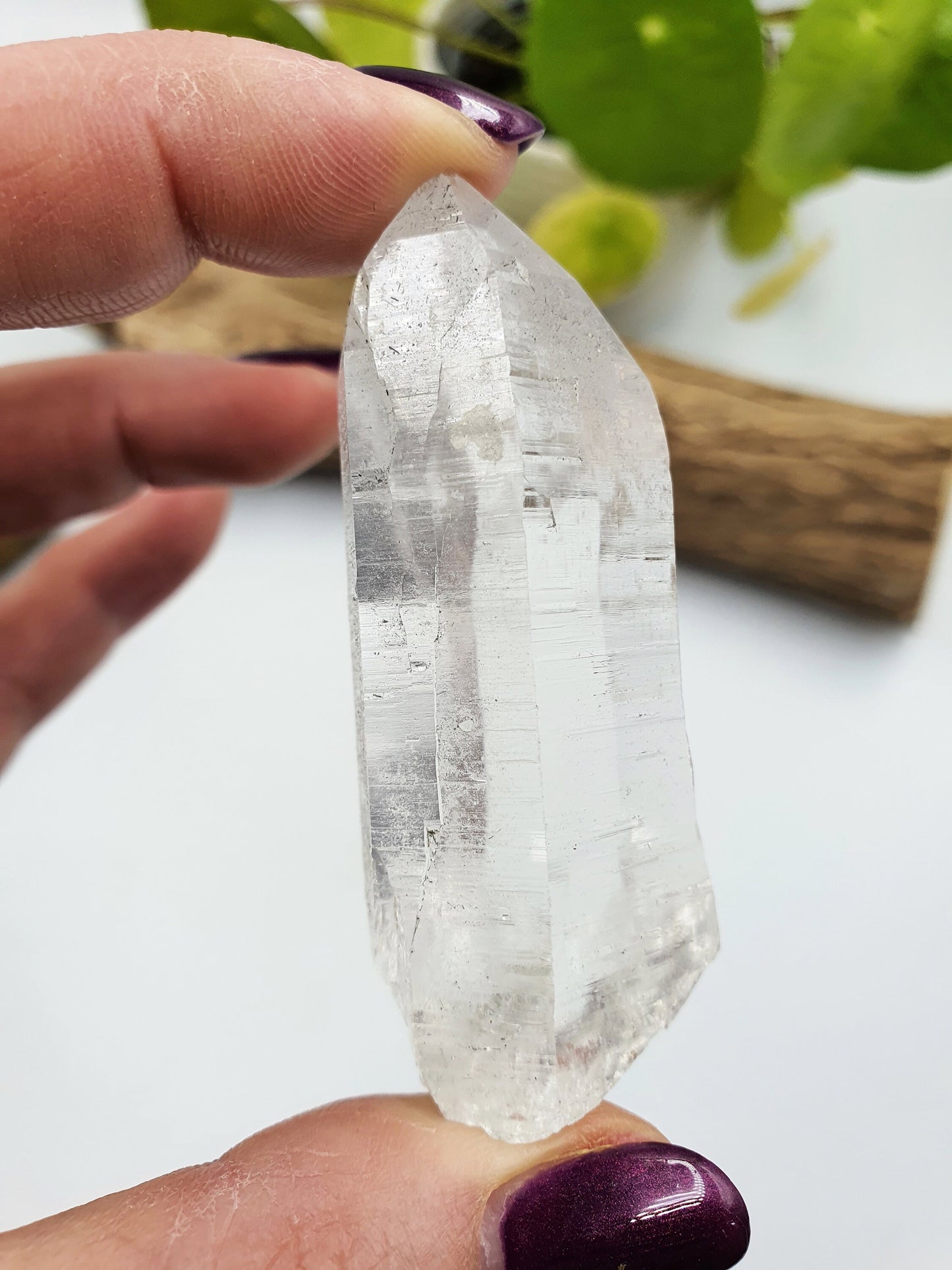 Himalayan Quartz Point